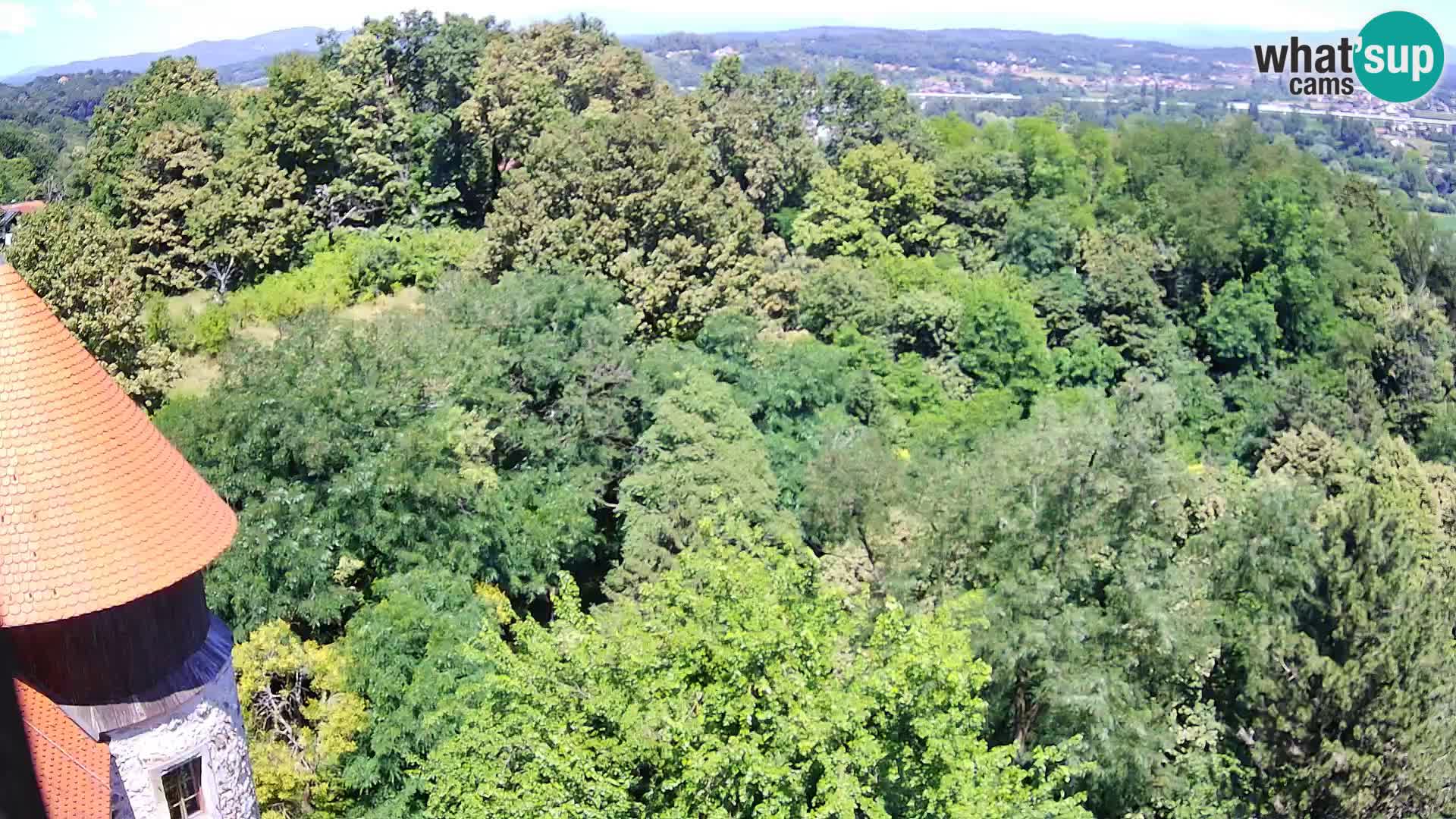 Webcam Karlovac Château Dubovac – Vue en direct de ce monument historique