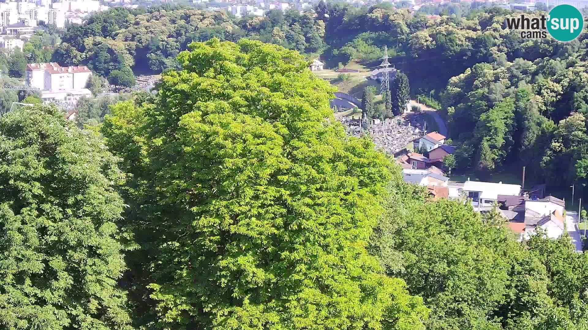 Webcam Karlovac Château Dubovac – Vue en direct de ce monument historique