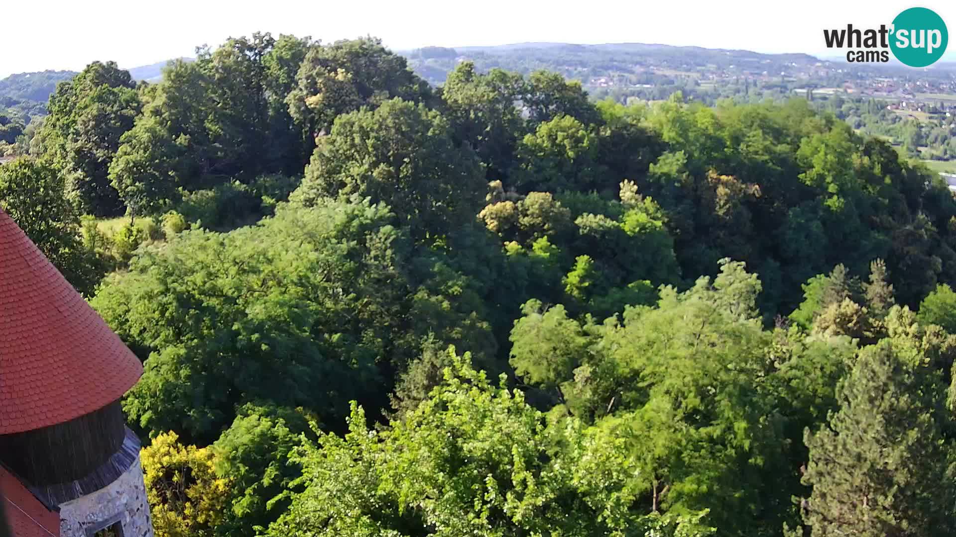 Webcam Karlovac Château Dubovac – Vue en direct de ce monument historique