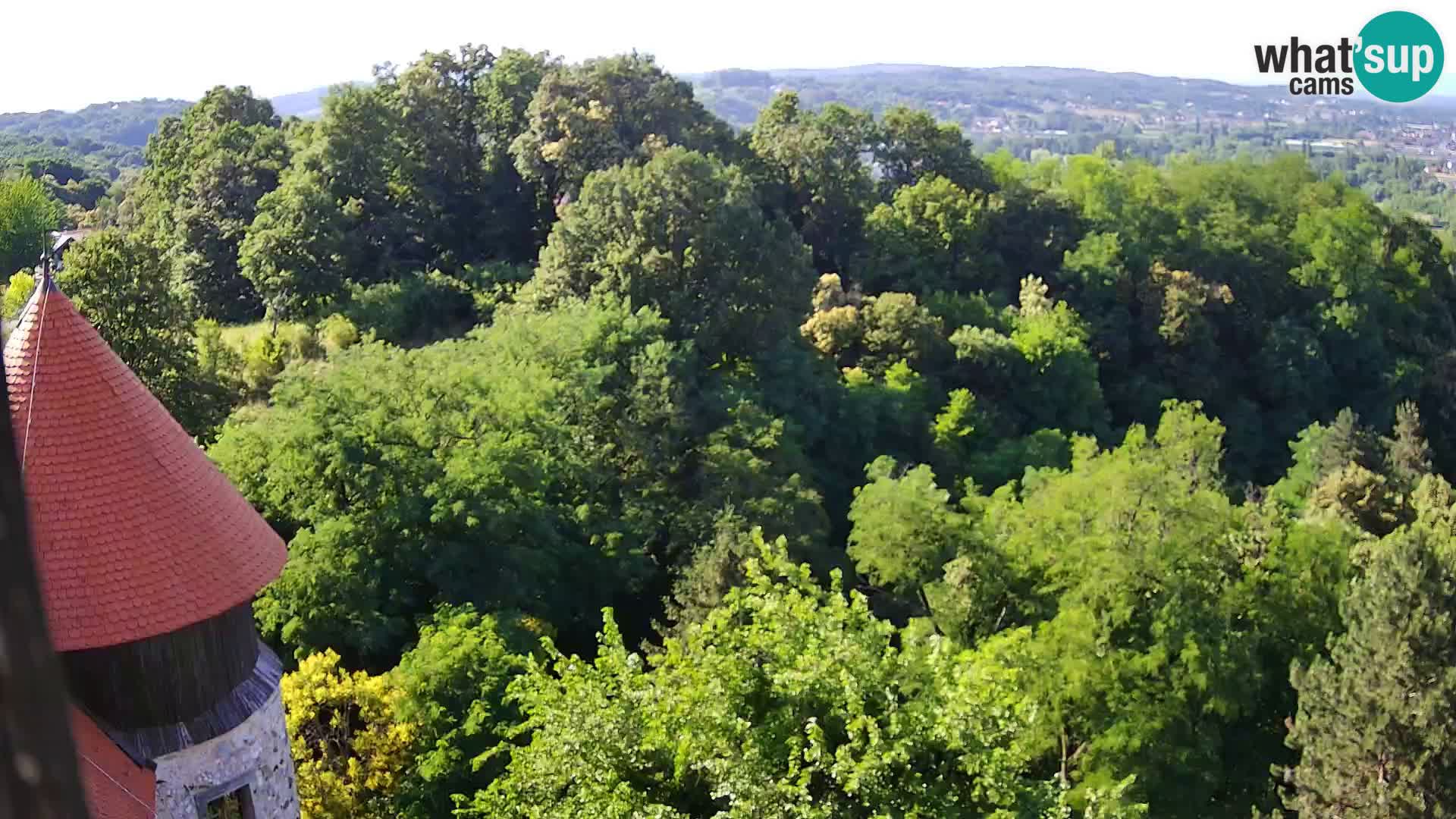 Webcam Karlovac Dubovac Castle – Live View of Karlovac’s Historic Landmark