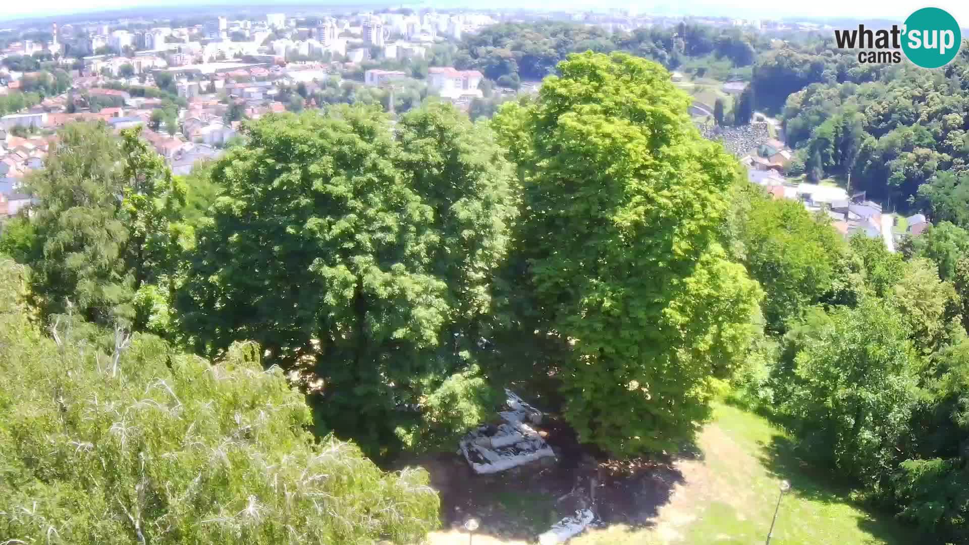 Webcam Castello Dubovac Karlovac – Vista Live sul Castello Storico