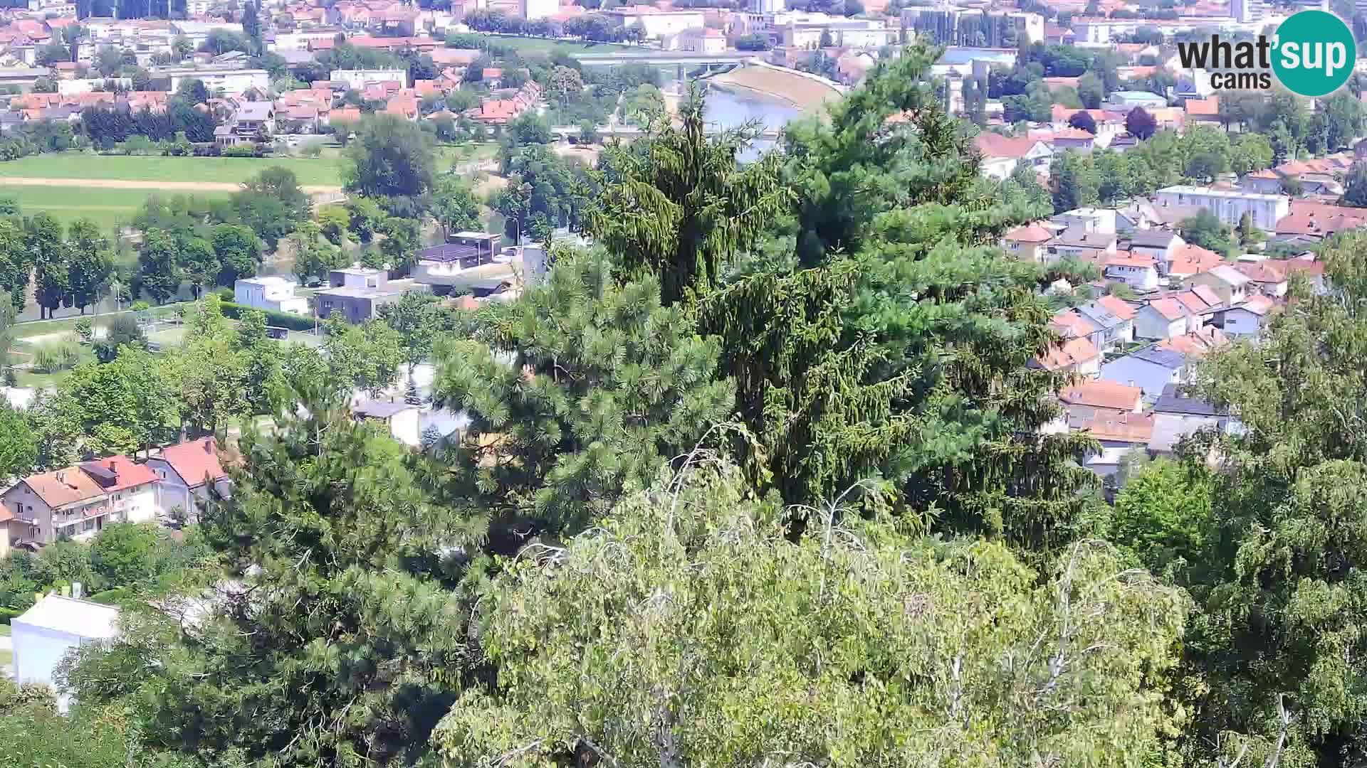 Webcam Karlstadt Burg Dubovac – Liveblick auf das historische Wahrzeichen