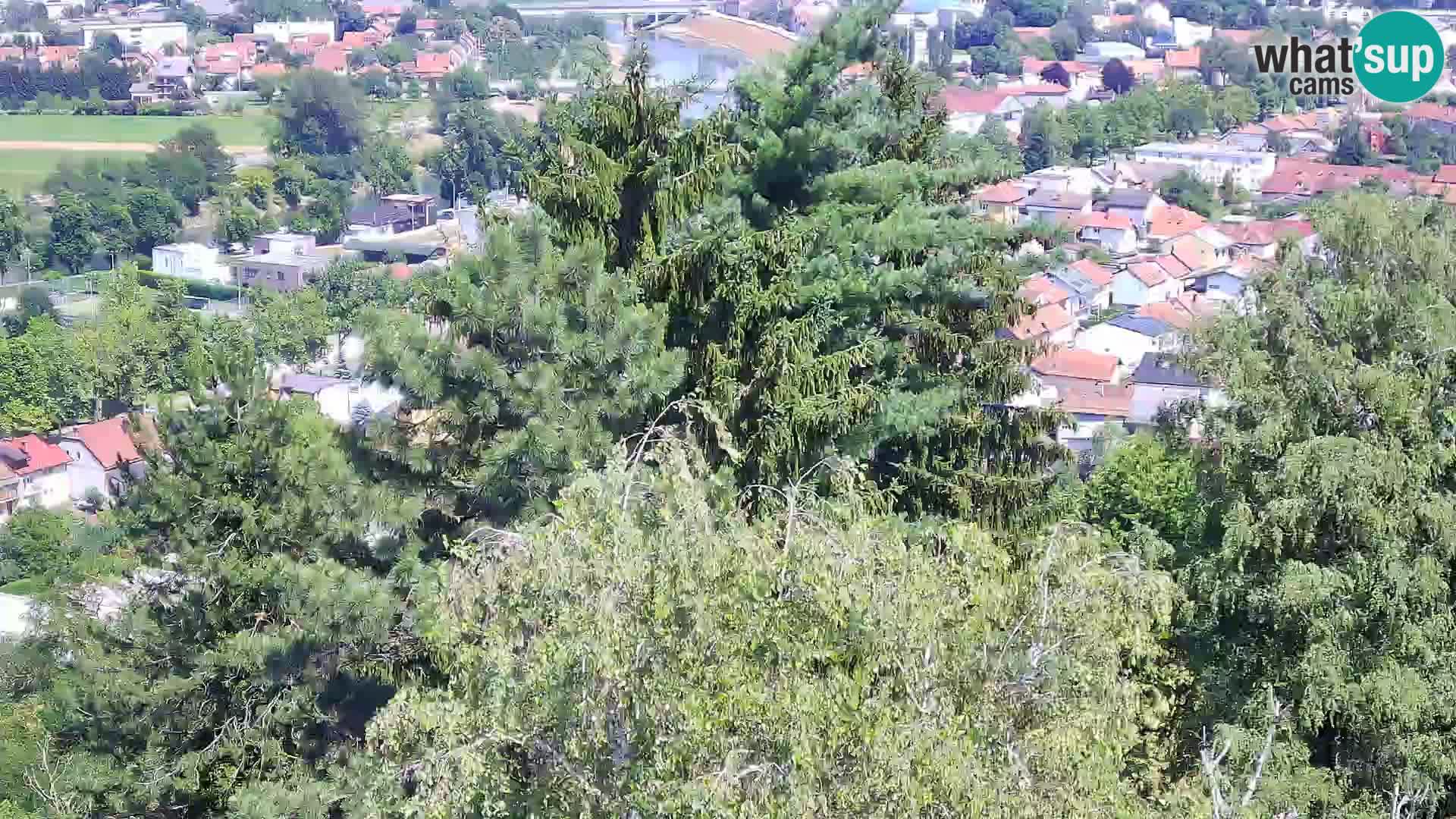 Webcam Karlstadt Burg Dubovac – Liveblick auf das historische Wahrzeichen