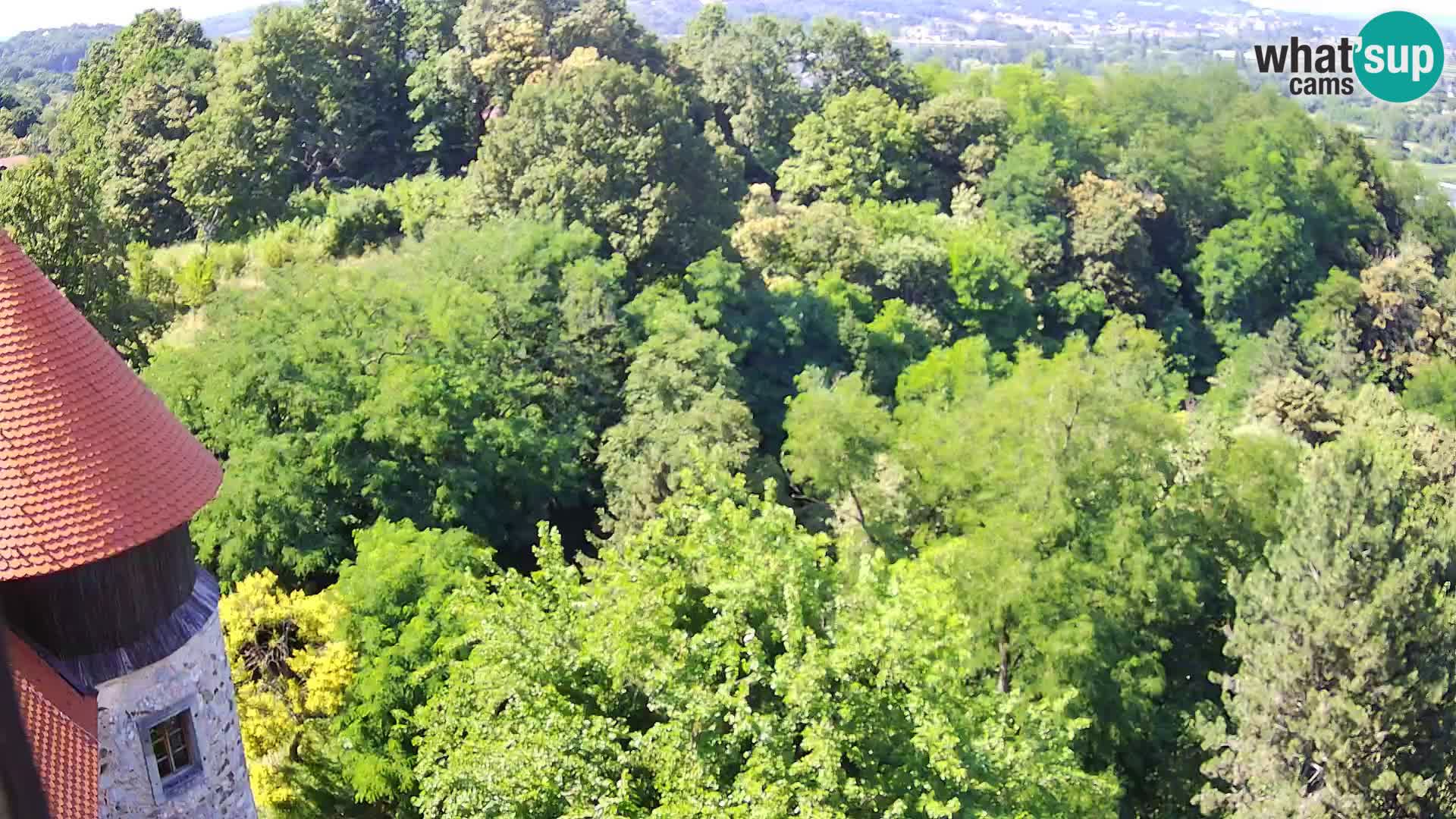 Web kamera Karlovac – Dvorac Dubovac uživo