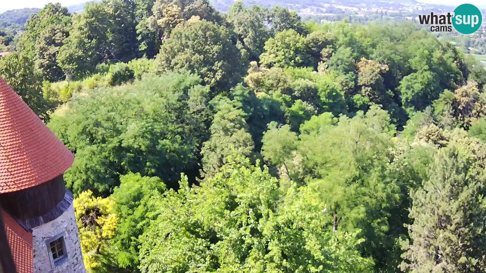 Webcam Castello Dubovac Karlovac – Vista Live sul Castello Storico