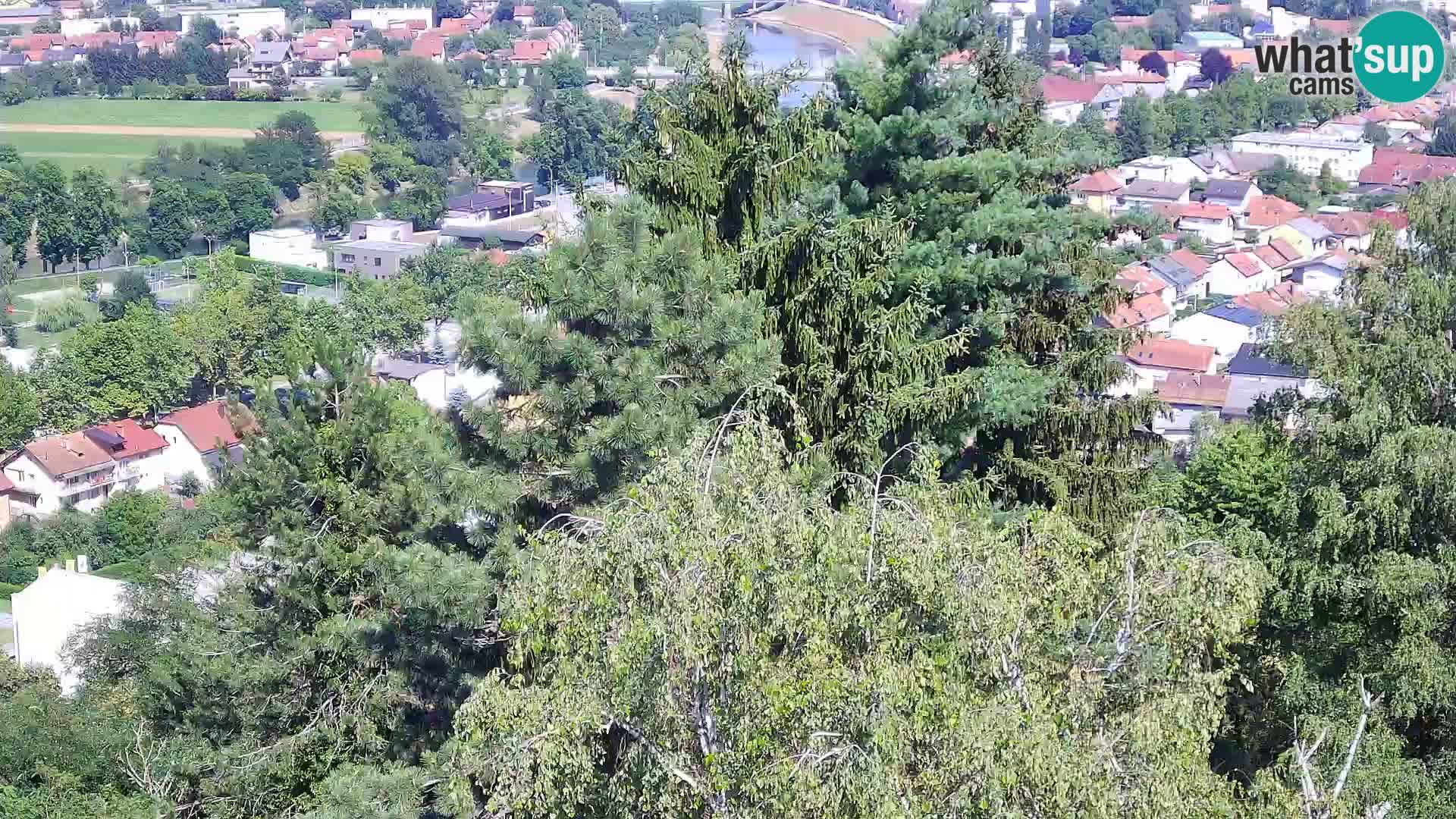 Web kamera Karlovac – Dvorac Dubovac uživo