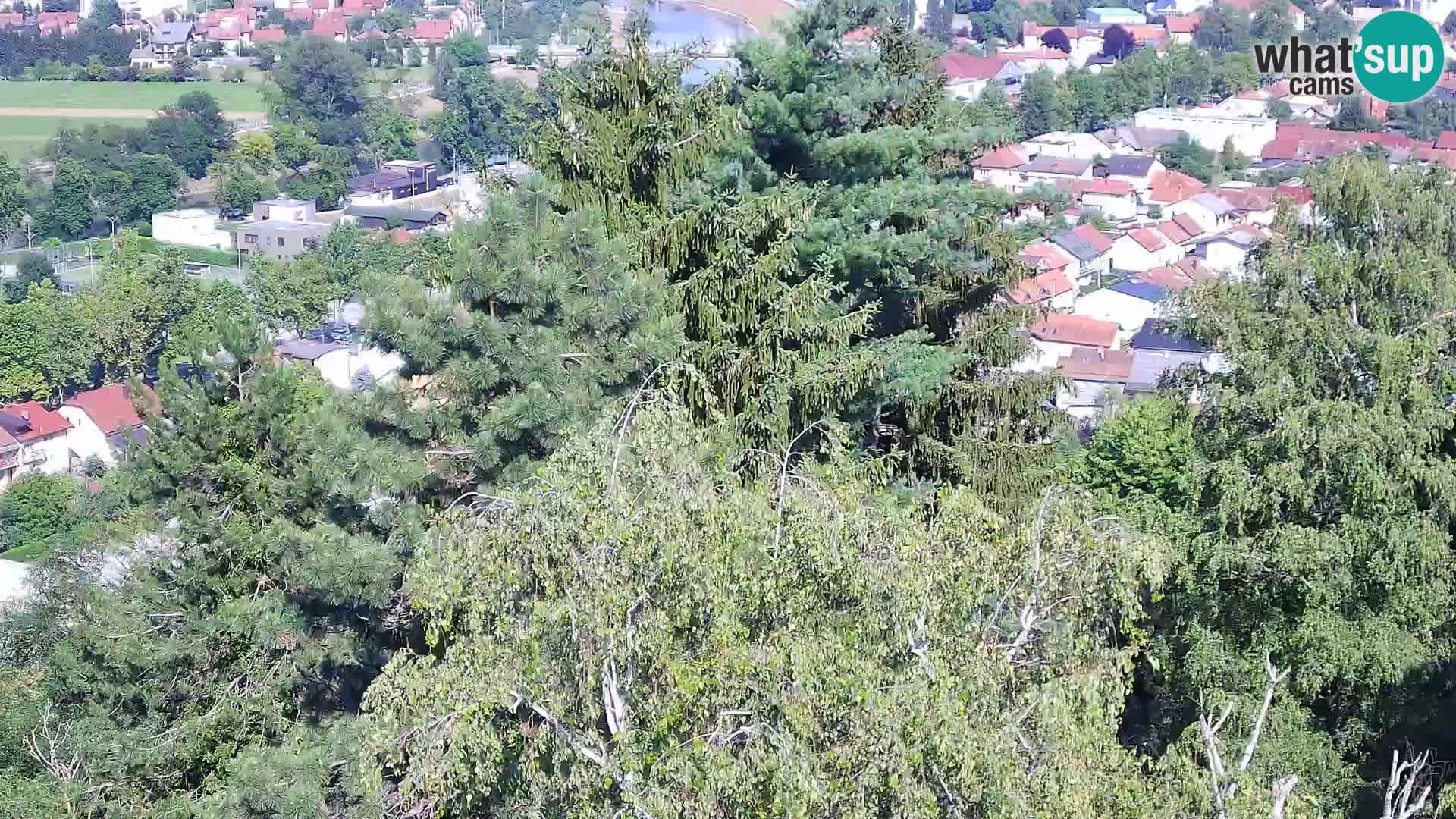 Webcam Karlstadt Burg Dubovac – Liveblick auf das historische Wahrzeichen