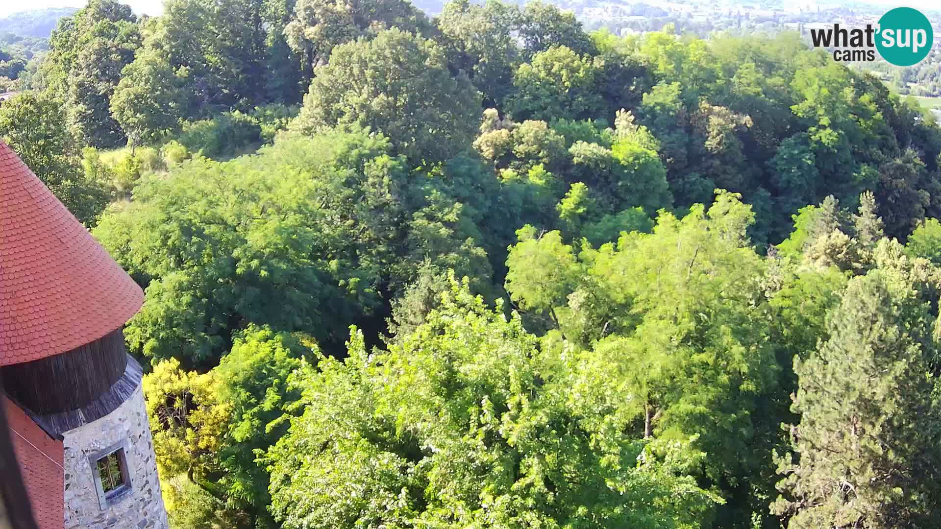 Webcam Karlstadt Burg Dubovac – Liveblick auf das historische Wahrzeichen