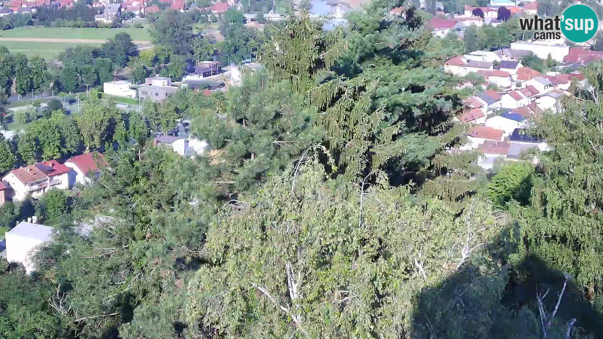 Webcam Castello Dubovac Karlovac – Vista Live sul Castello Storico