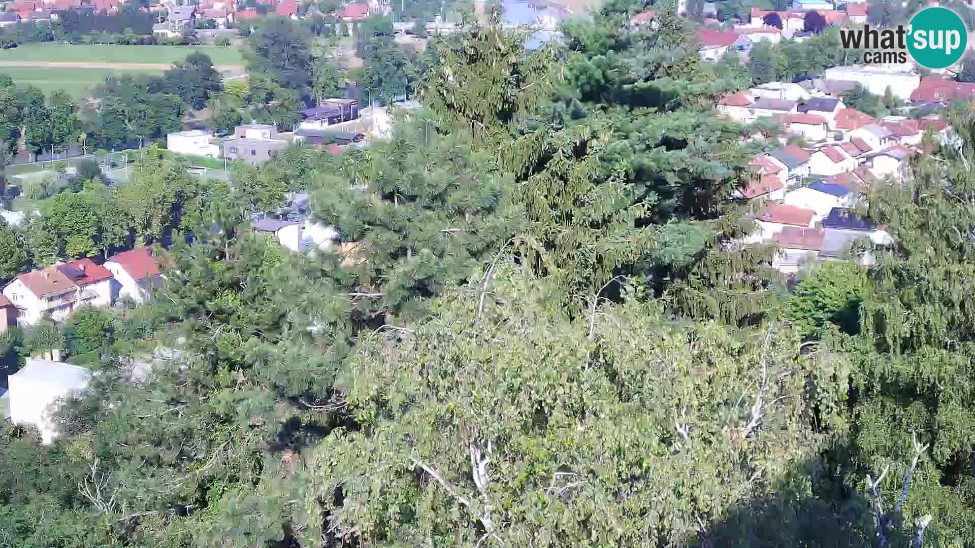 Webcam Karlovac Dubovac Castle – Live View of Karlovac’s Historic Landmark