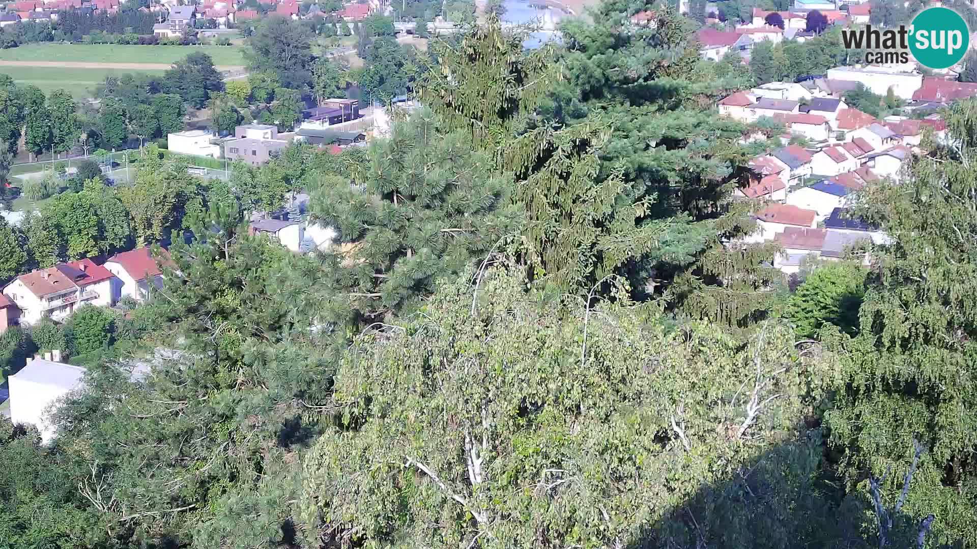 Spletna kamera Karlovac Dubovac grad – Pogled v živo na zgodovinsko znamenitost Karlovca
