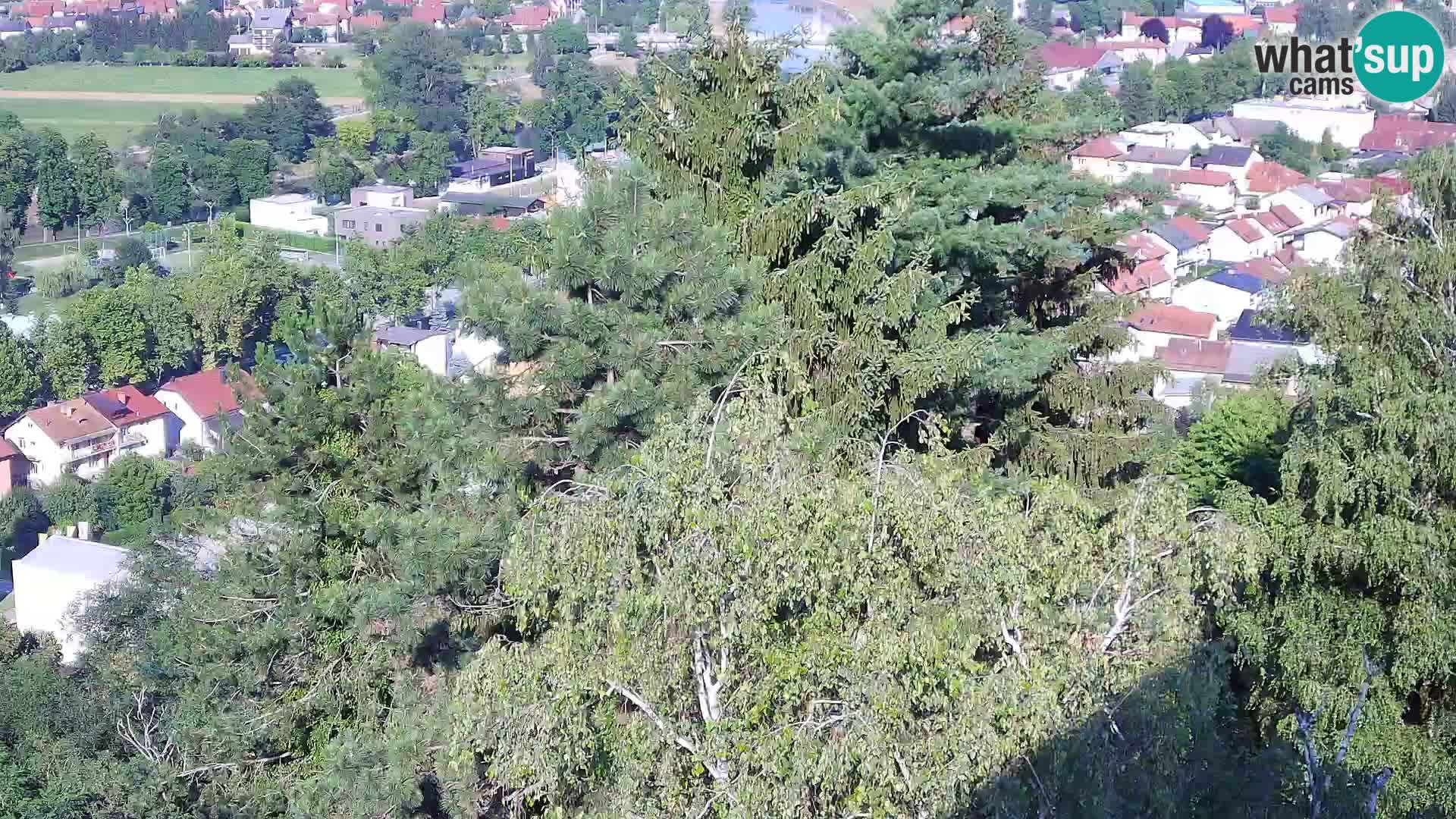 Webcam Karlstadt Burg Dubovac – Liveblick auf das historische Wahrzeichen