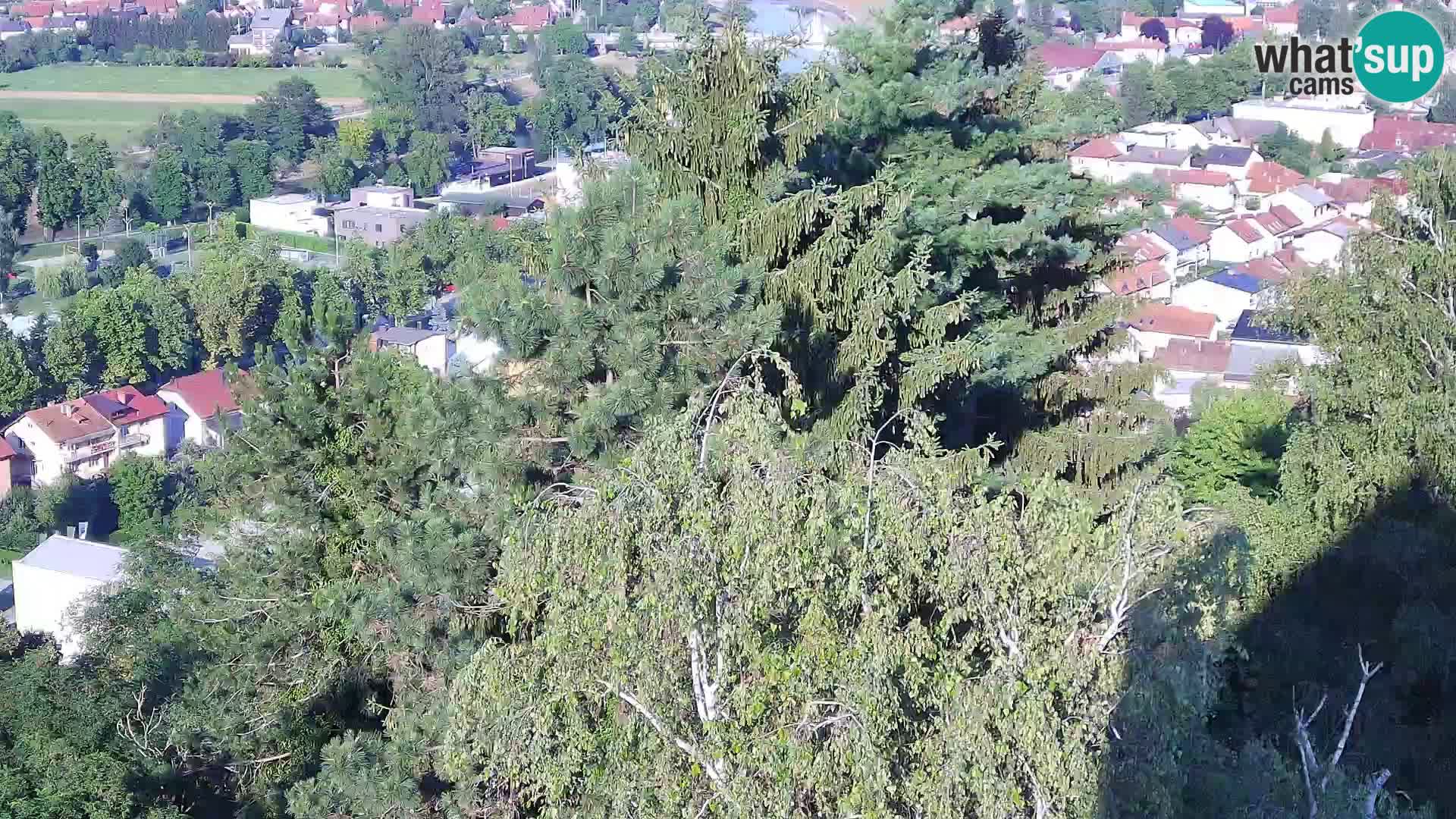 Spletna kamera Karlovac Dubovac grad – Pogled v živo na zgodovinsko znamenitost Karlovca