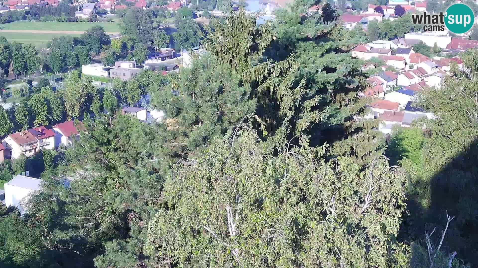 Webcam Karlovac Château Dubovac – Vue en direct de ce monument historique