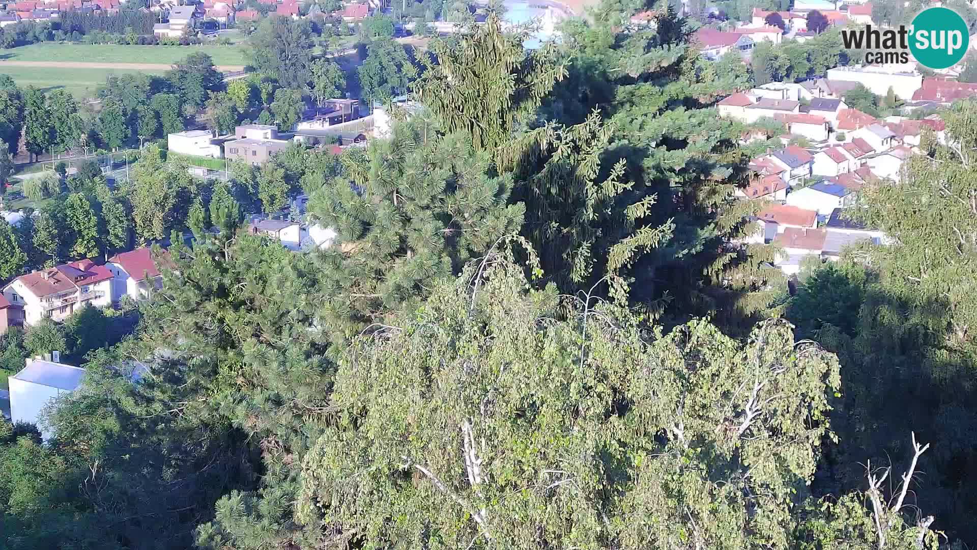 Webcam Karlstadt Burg Dubovac – Liveblick auf das historische Wahrzeichen