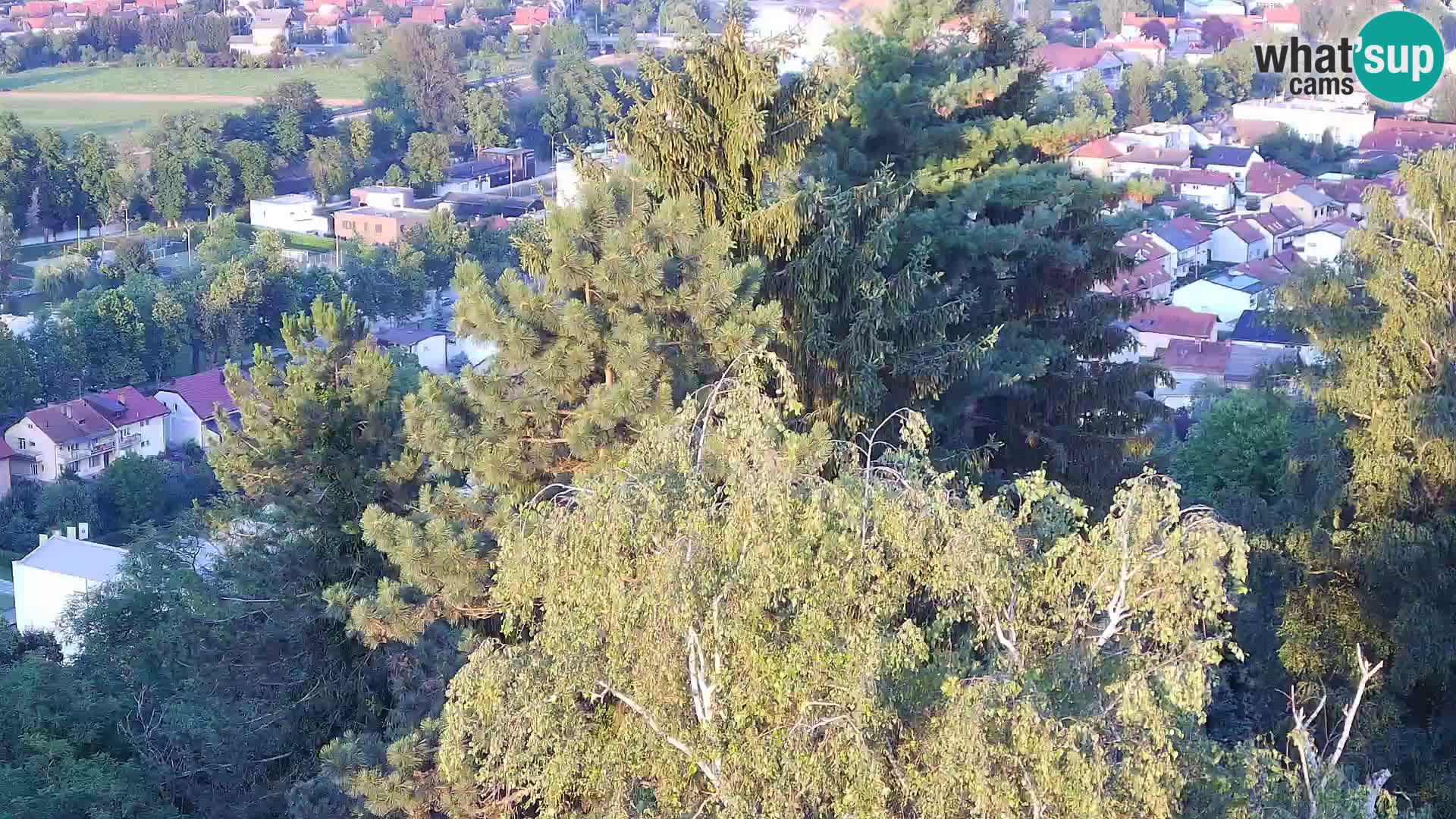 Webcam Karlovac Dubovac Castle – Live View of Karlovac’s Historic Landmark