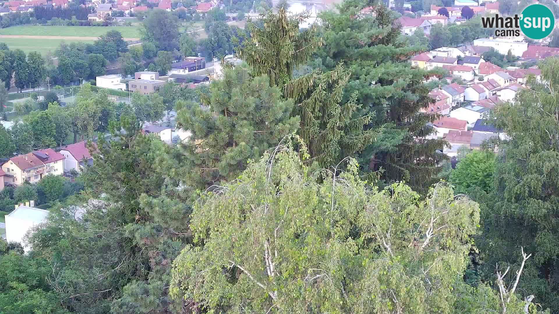 Webcam Castello Dubovac Karlovac – Vista Live sul Castello Storico