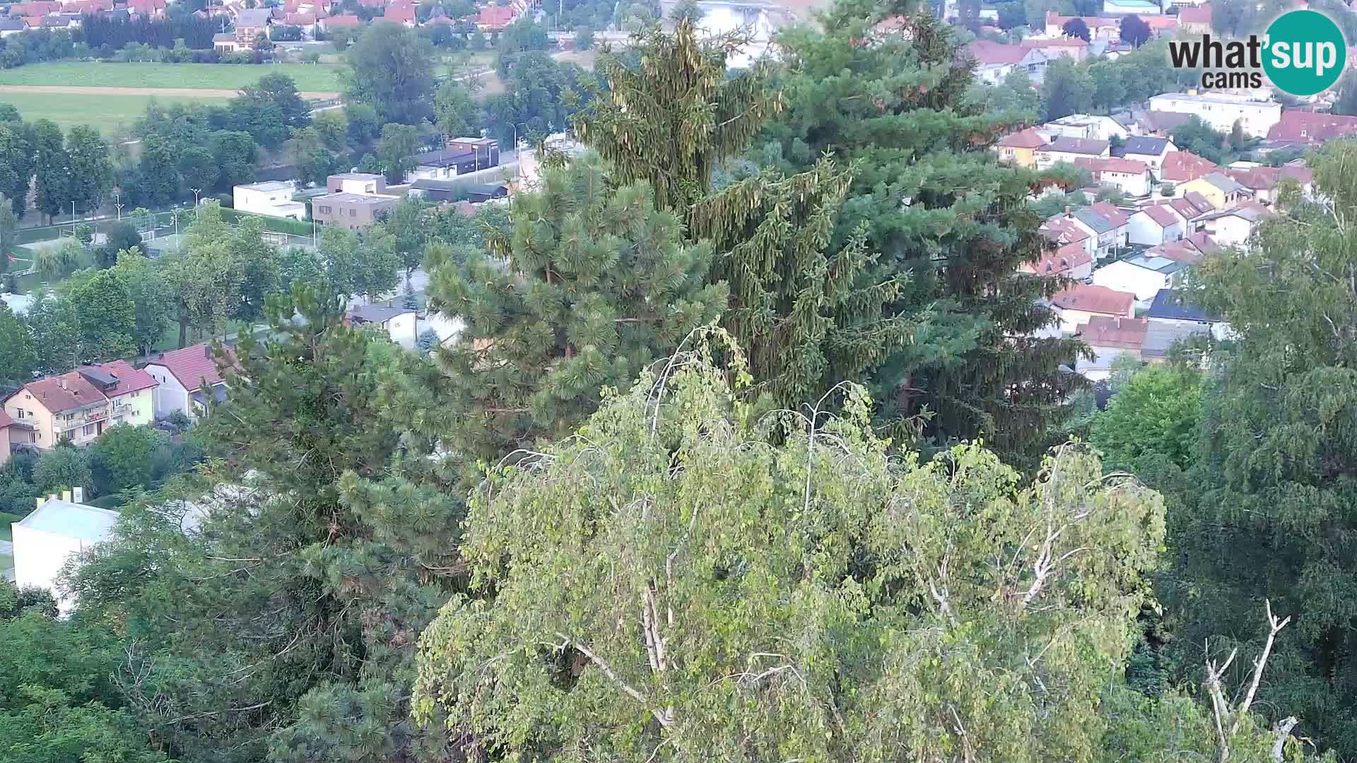 Spletna kamera Karlovac Dubovac grad – Pogled v živo na zgodovinsko znamenitost Karlovca