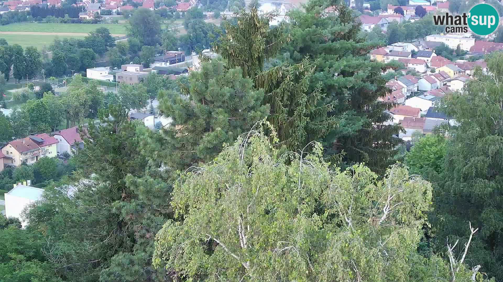Web kamera Karlovac – Dvorac Dubovac uživo