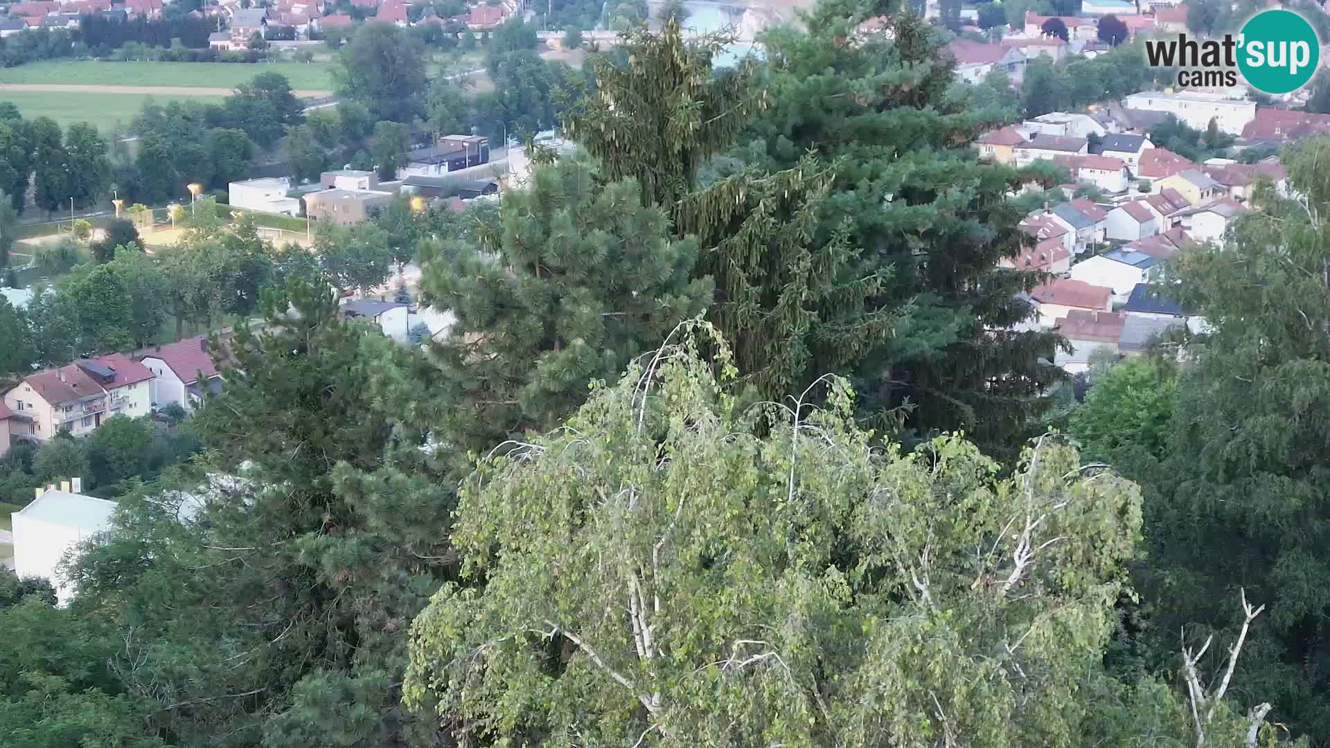 Webcam Karlstadt Burg Dubovac – Liveblick auf das historische Wahrzeichen