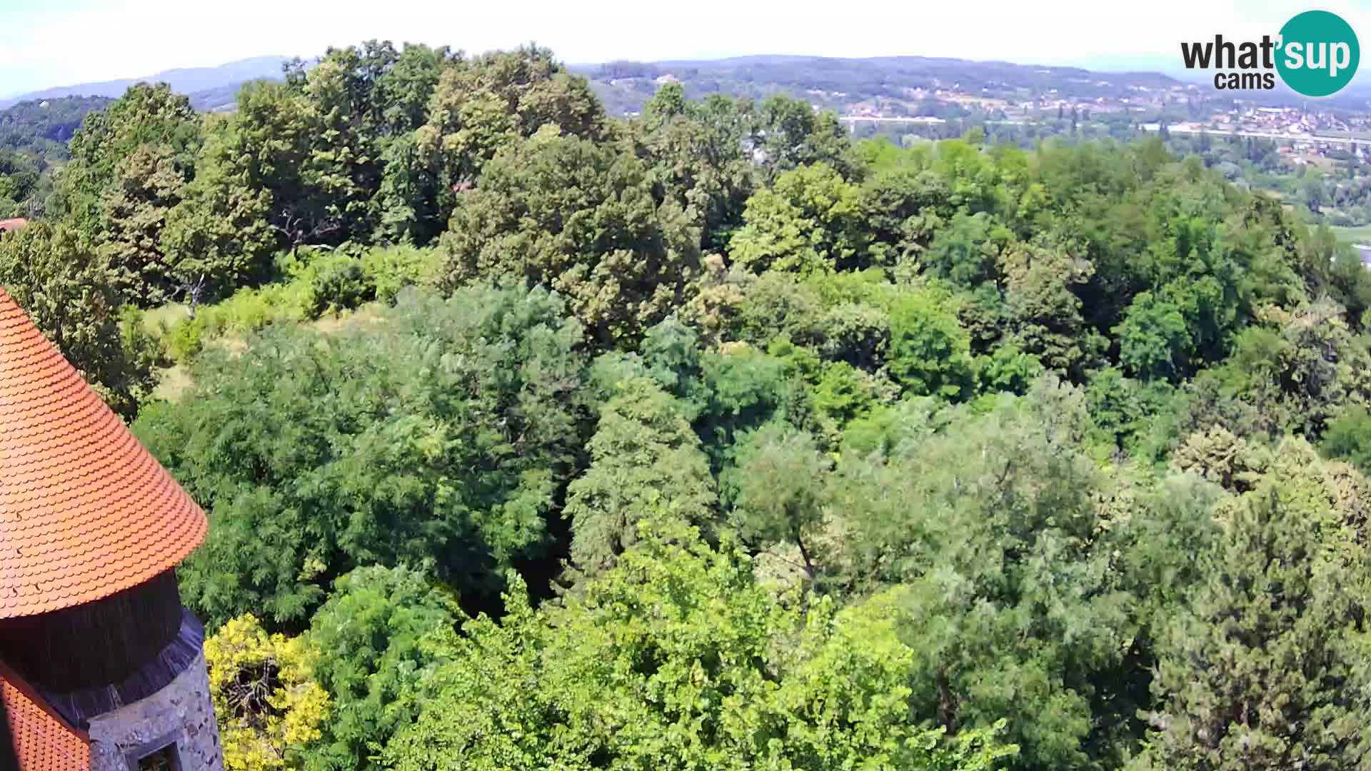 Webcam Karlovac Château Dubovac – Vue en direct de ce monument historique