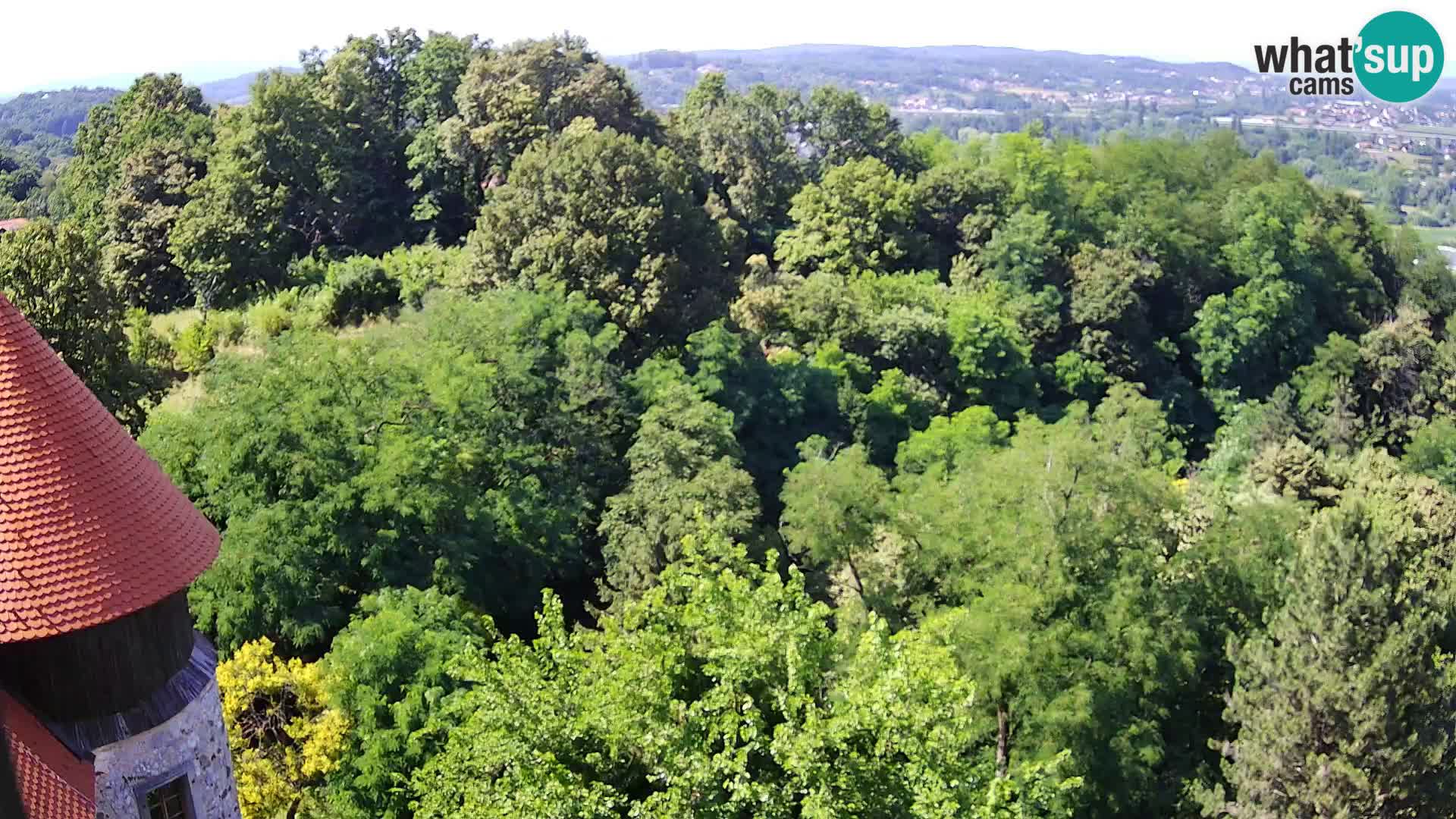Webcam Castillo Dubovac Karlovac – Vista en directo del histórico castillo
