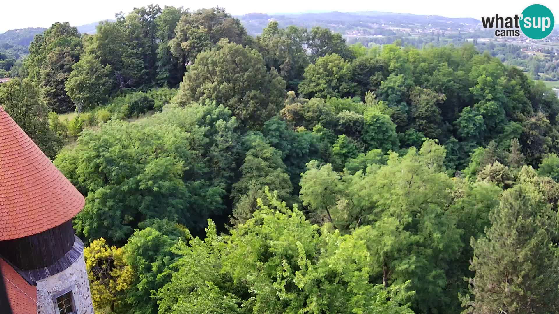 Webcam Karlovac Dubovac Castle – Live View of Karlovac’s Historic Landmark