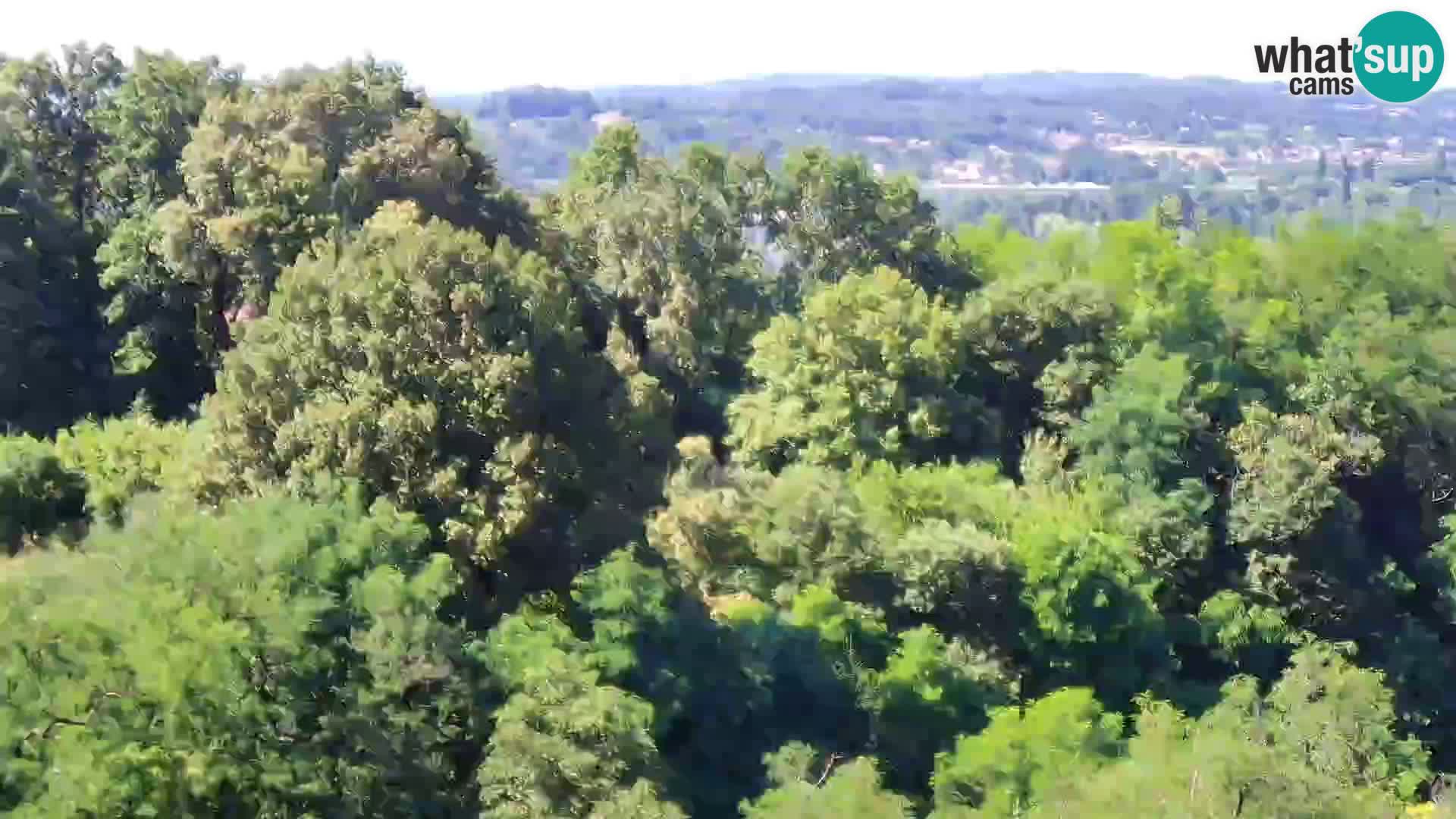Webcam Castello Dubovac Karlovac – Vista Live sul Castello Storico
