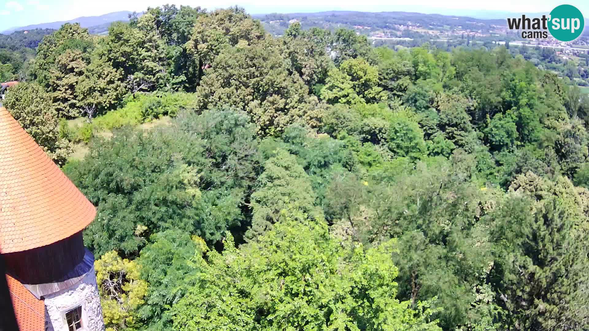 Webcam Karlovac Château Dubovac – Vue en direct de ce monument historique