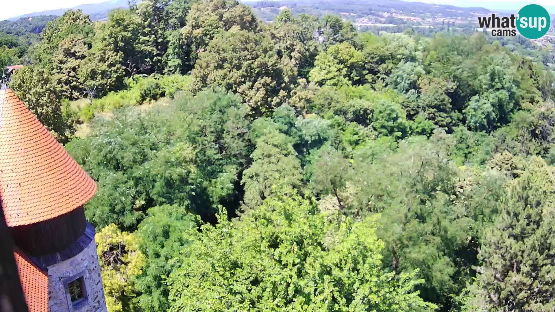 Webcam Karlstadt Burg Dubovac – Liveblick auf das historische Wahrzeichen