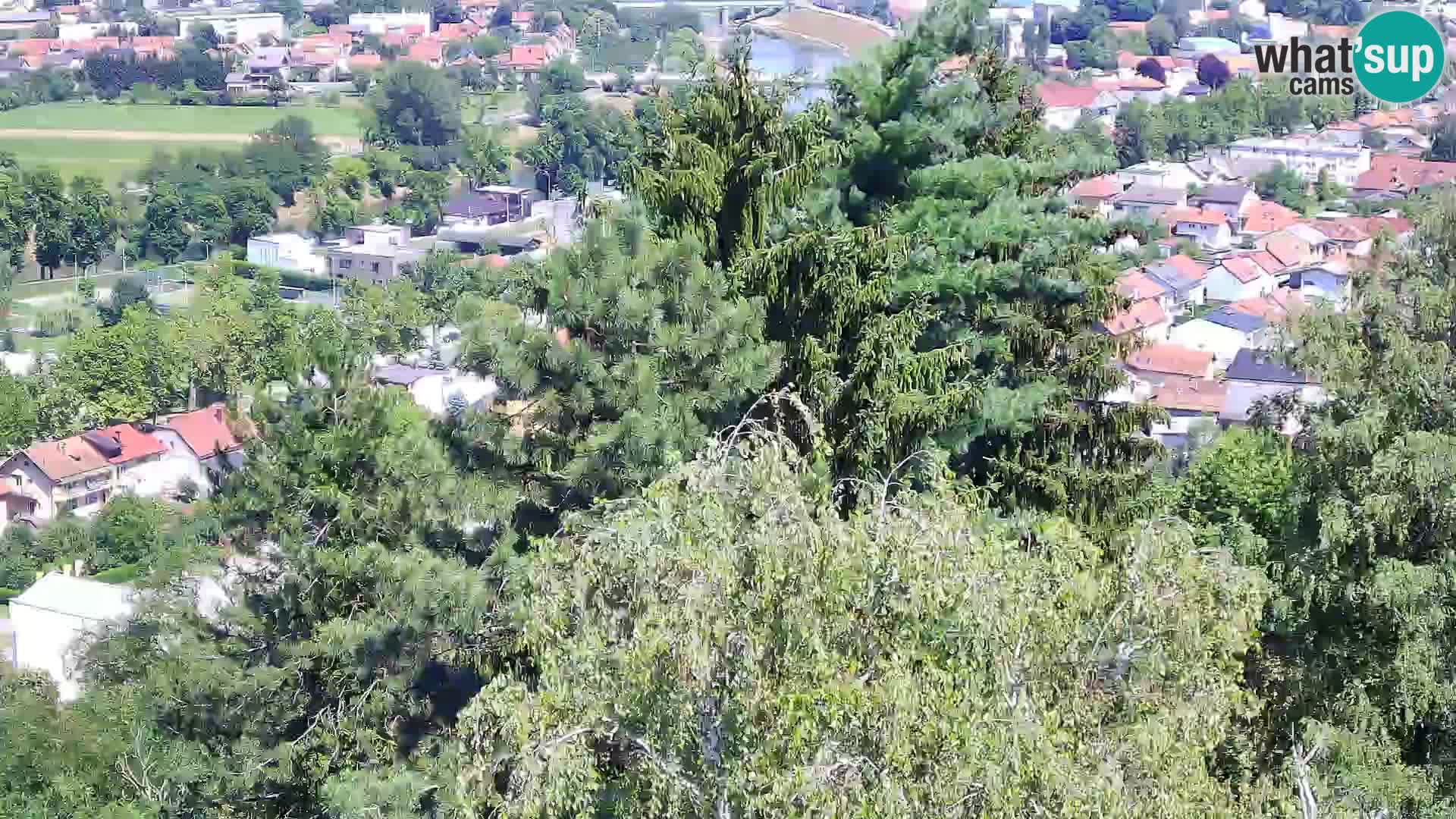 Webcam Karlovac Dubovac Castle – Live View of Karlovac’s Historic Landmark