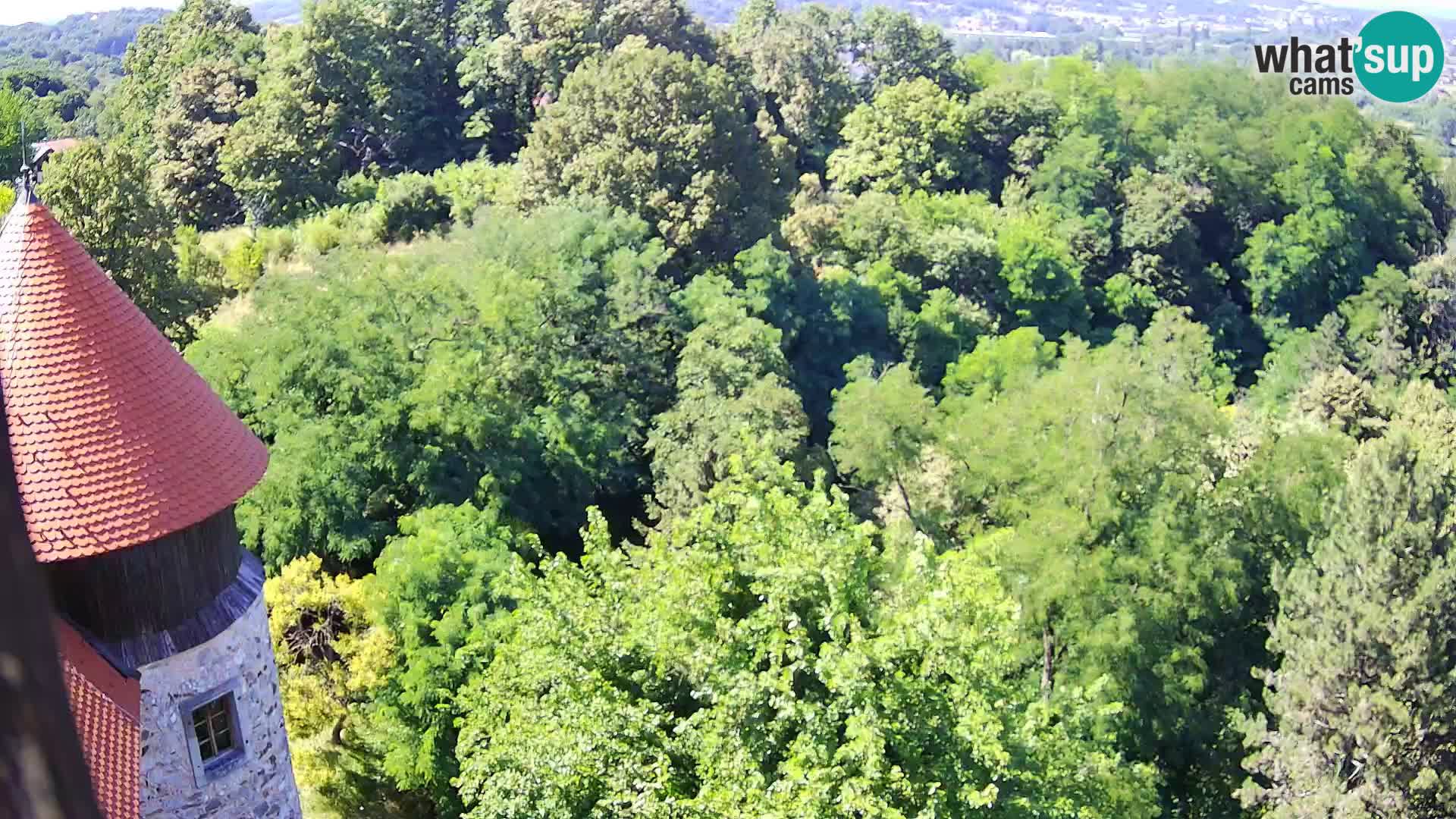 Webcam Karlstadt Burg Dubovac – Liveblick auf das historische Wahrzeichen