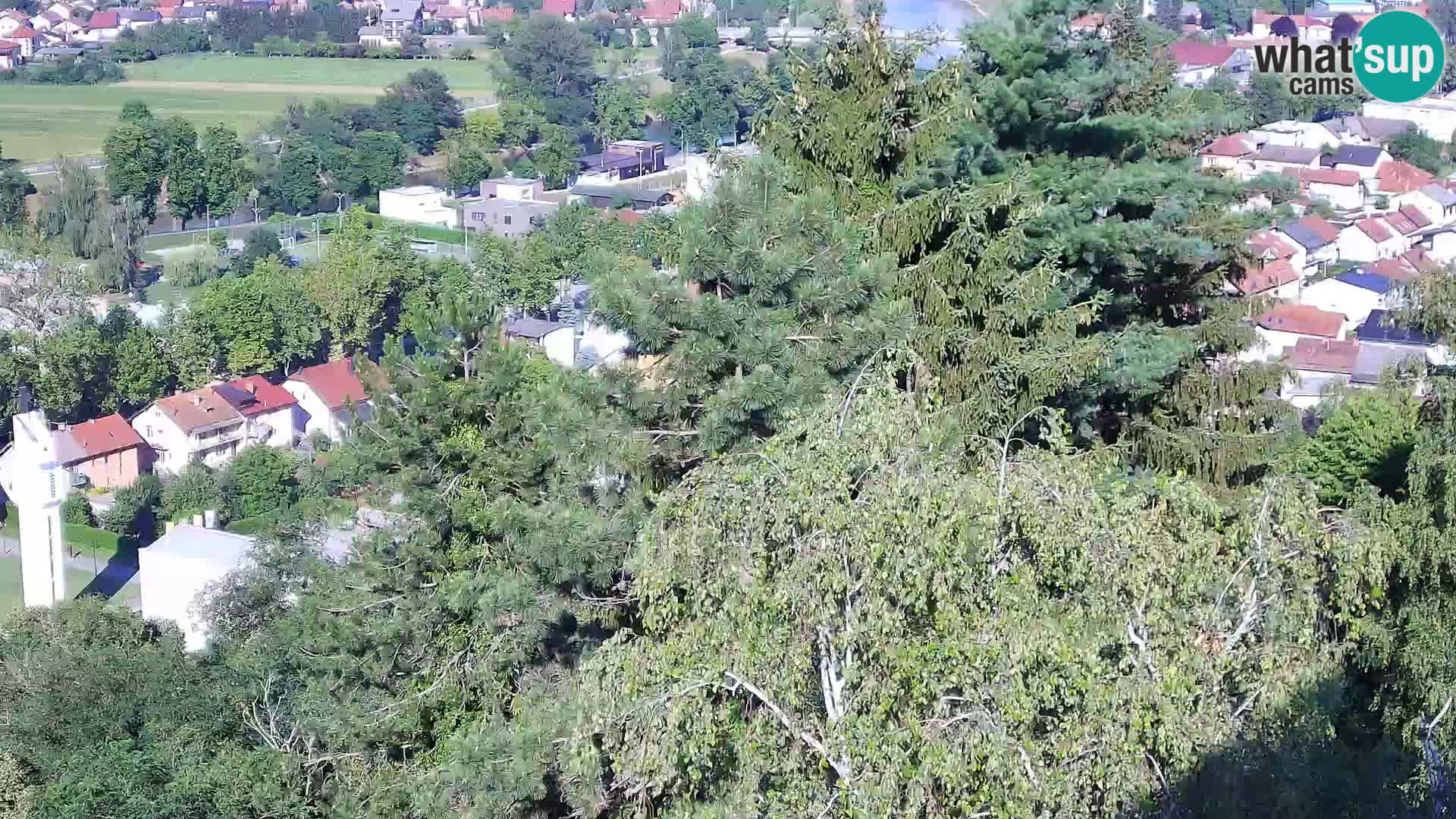Webcam Karlovac Château Dubovac – Vue en direct de ce monument historique