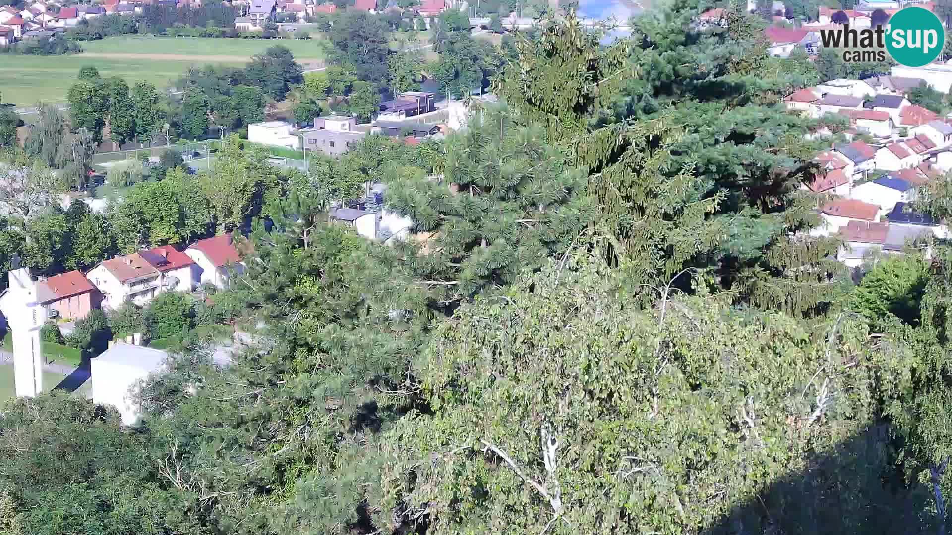Webcam Karlovac Dubovac Castle – Live View of Karlovac’s Historic Landmark