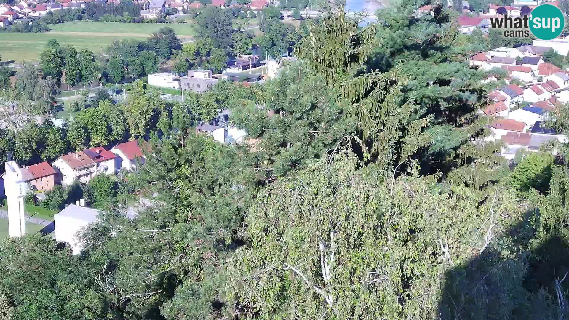 Webcam Castello Dubovac Karlovac – Vista Live sul Castello Storico