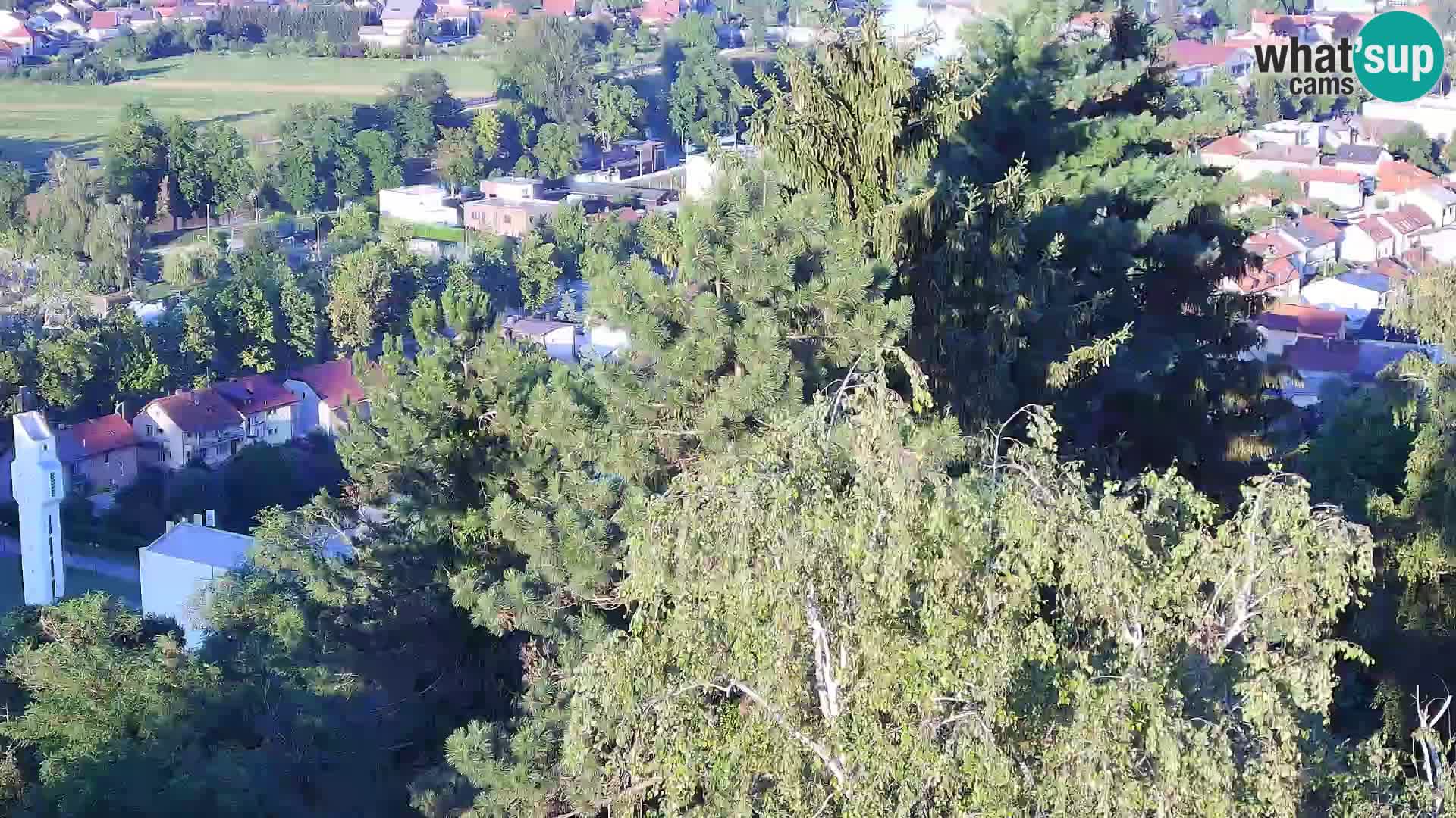 Web kamera Karlovac – Dvorac Dubovac uživo