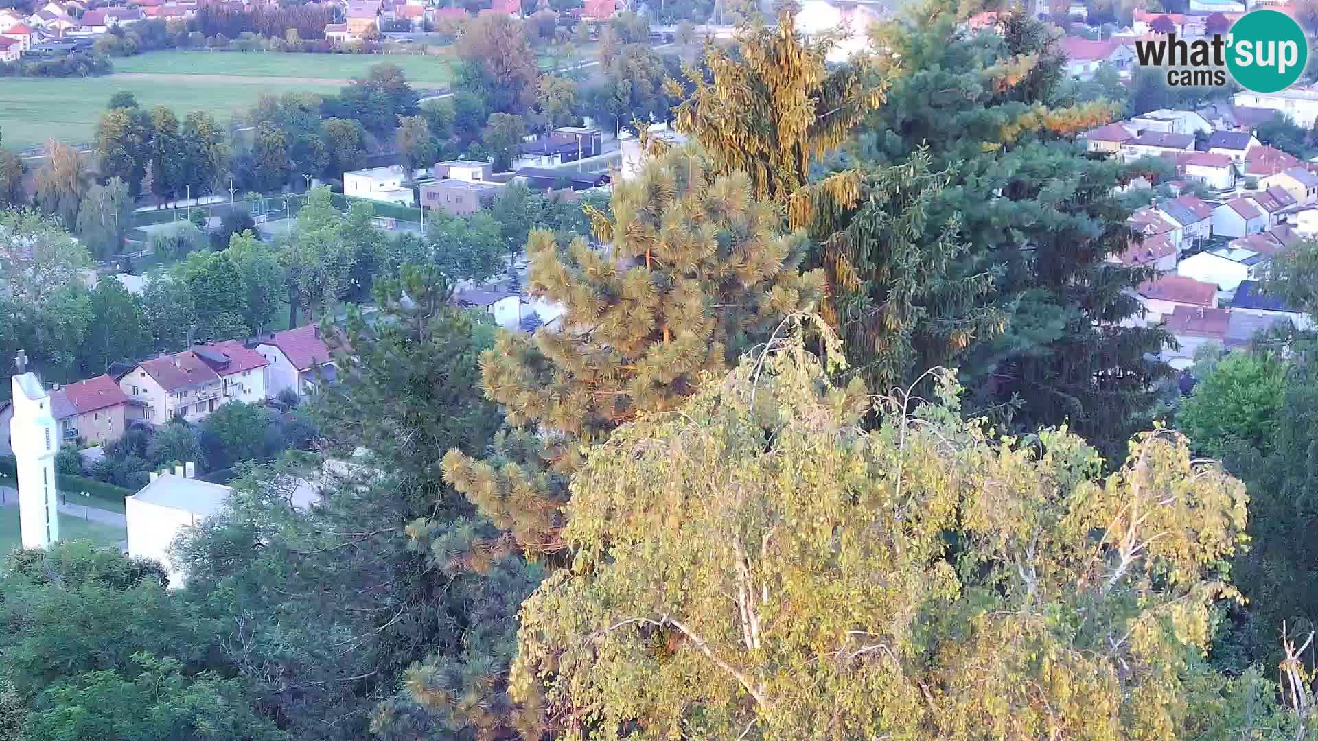 Webcam Castillo Dubovac Karlovac – Vista en directo del histórico castillo