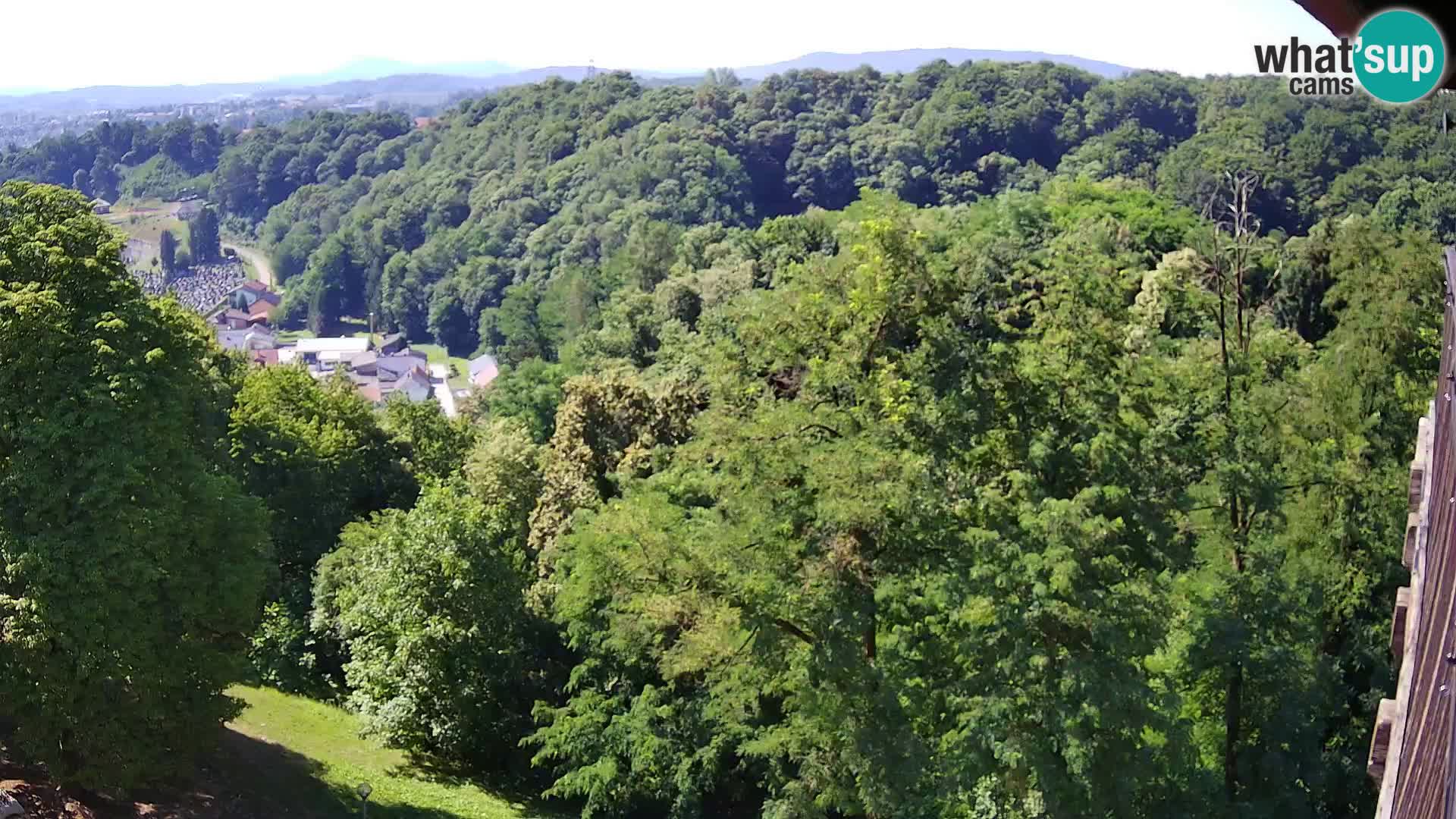 Webcam Castillo Dubovac Karlovac – Vista en directo del histórico castillo