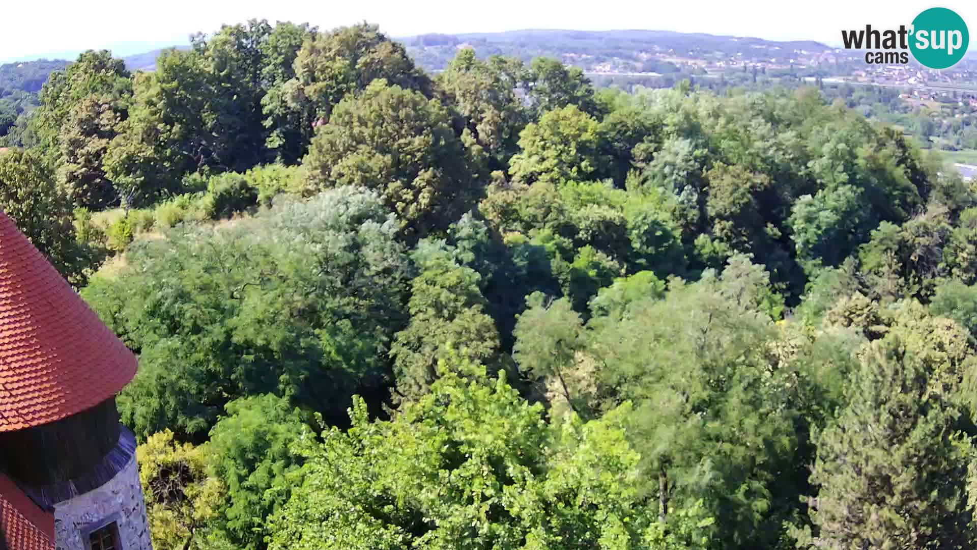 Webcam Karlstadt Burg Dubovac – Liveblick auf das historische Wahrzeichen