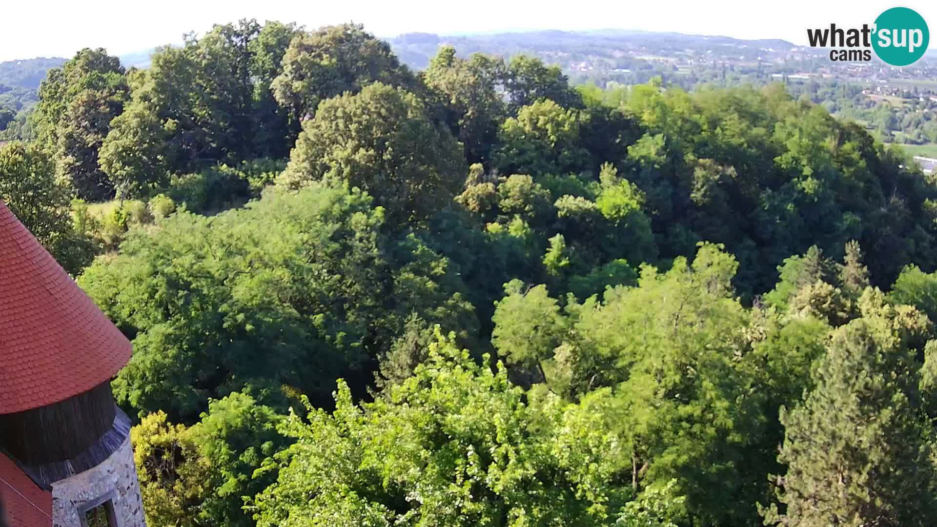 Webcam Karlstadt Burg Dubovac – Liveblick auf das historische Wahrzeichen