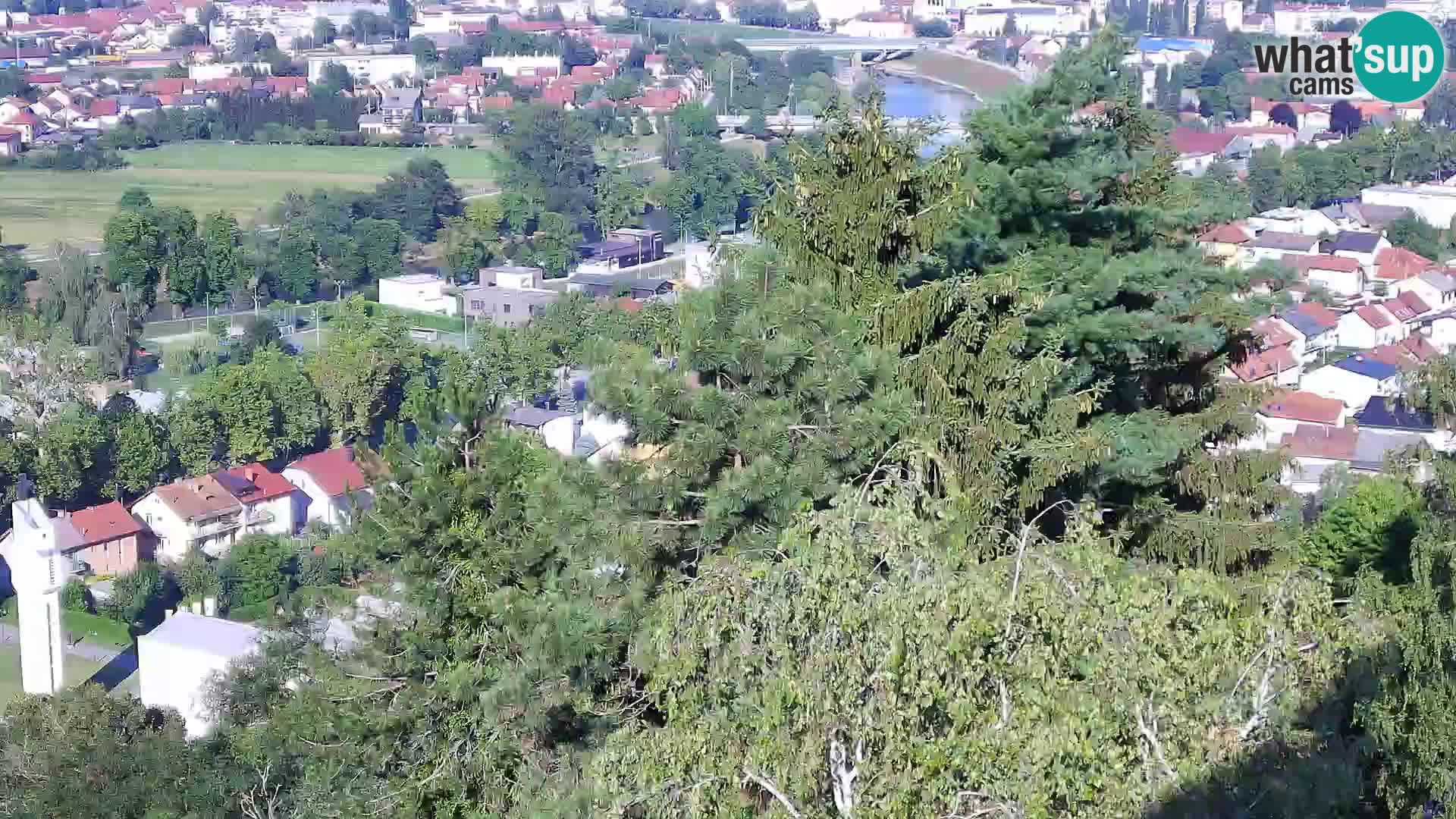 Webcam Castello Dubovac Karlovac – Vista Live sul Castello Storico