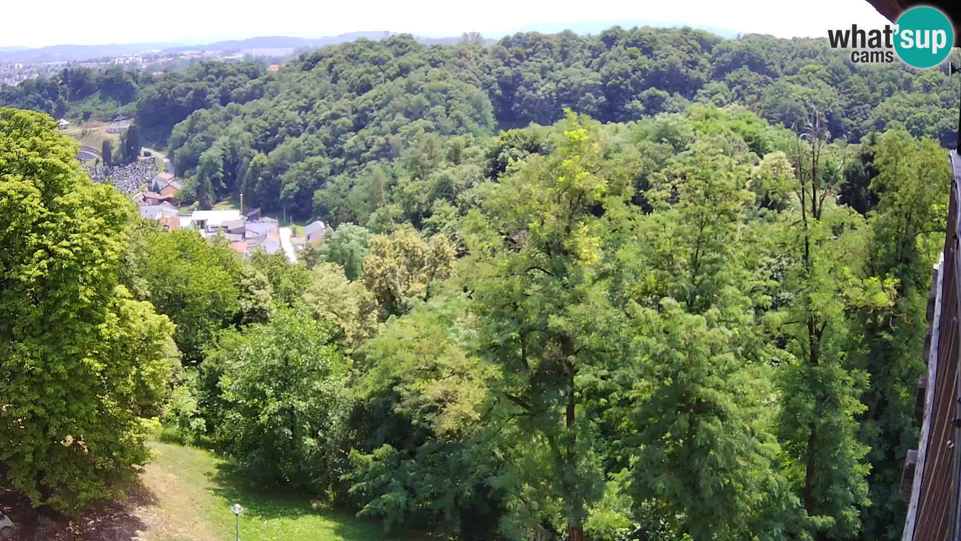 Web kamera Karlovac – Dvorac Dubovac uživo
