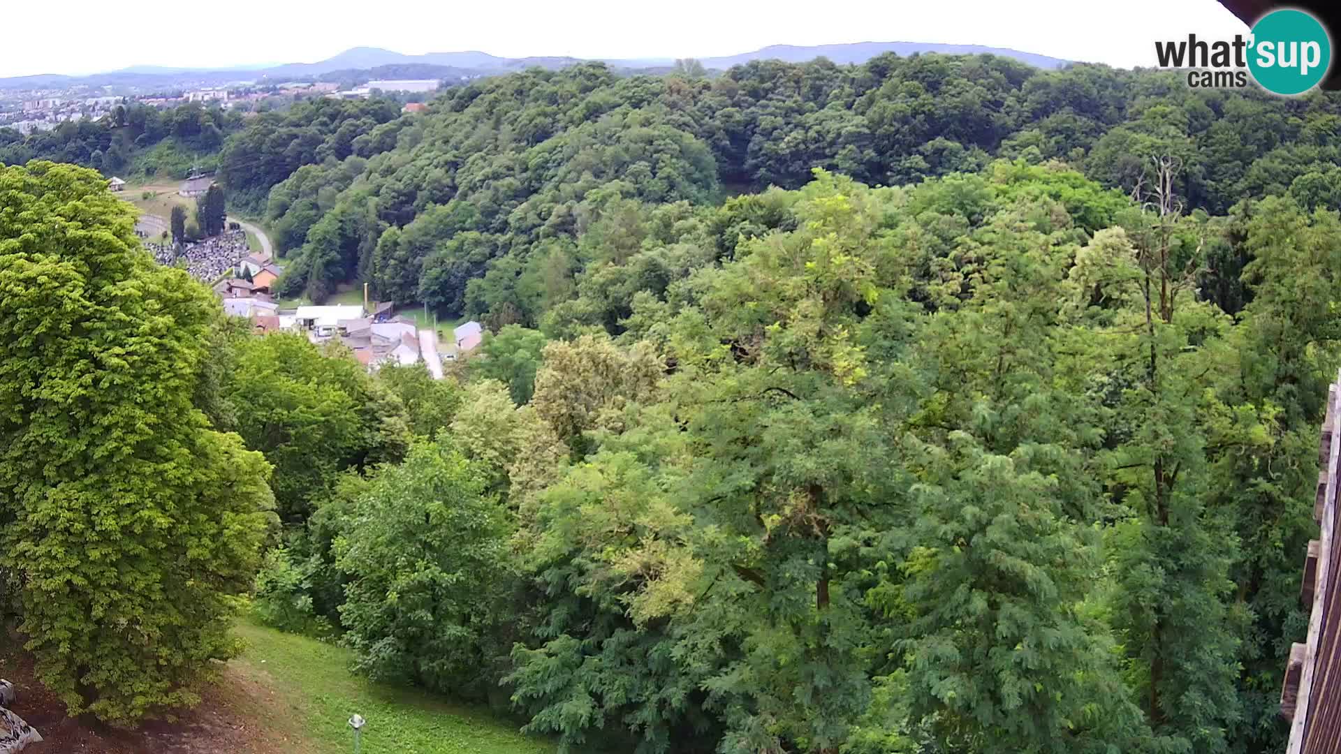 Web kamera Karlovac – Dvorac Dubovac uživo
