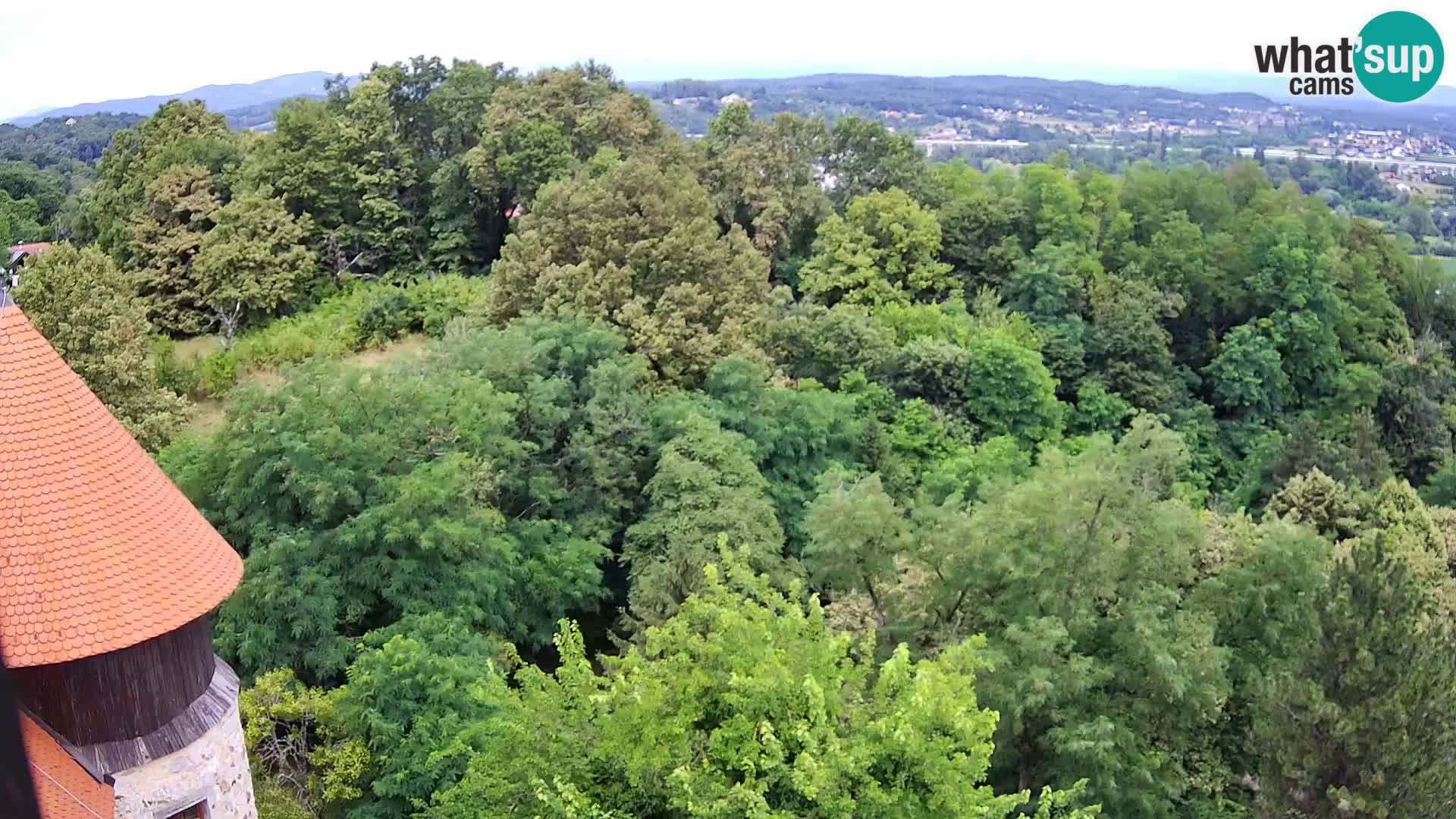 Webcam Karlstadt Burg Dubovac – Liveblick auf das historische Wahrzeichen