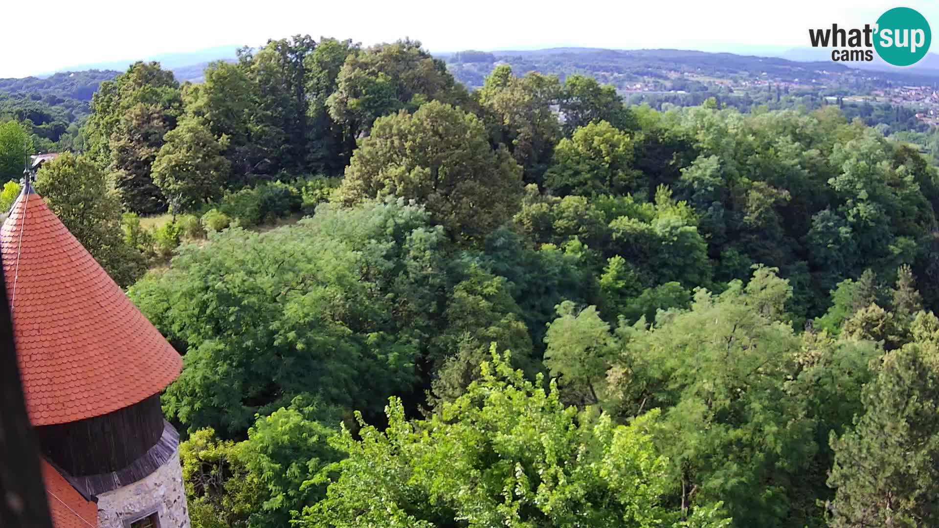 Webcam Castello Dubovac Karlovac – Vista Live sul Castello Storico