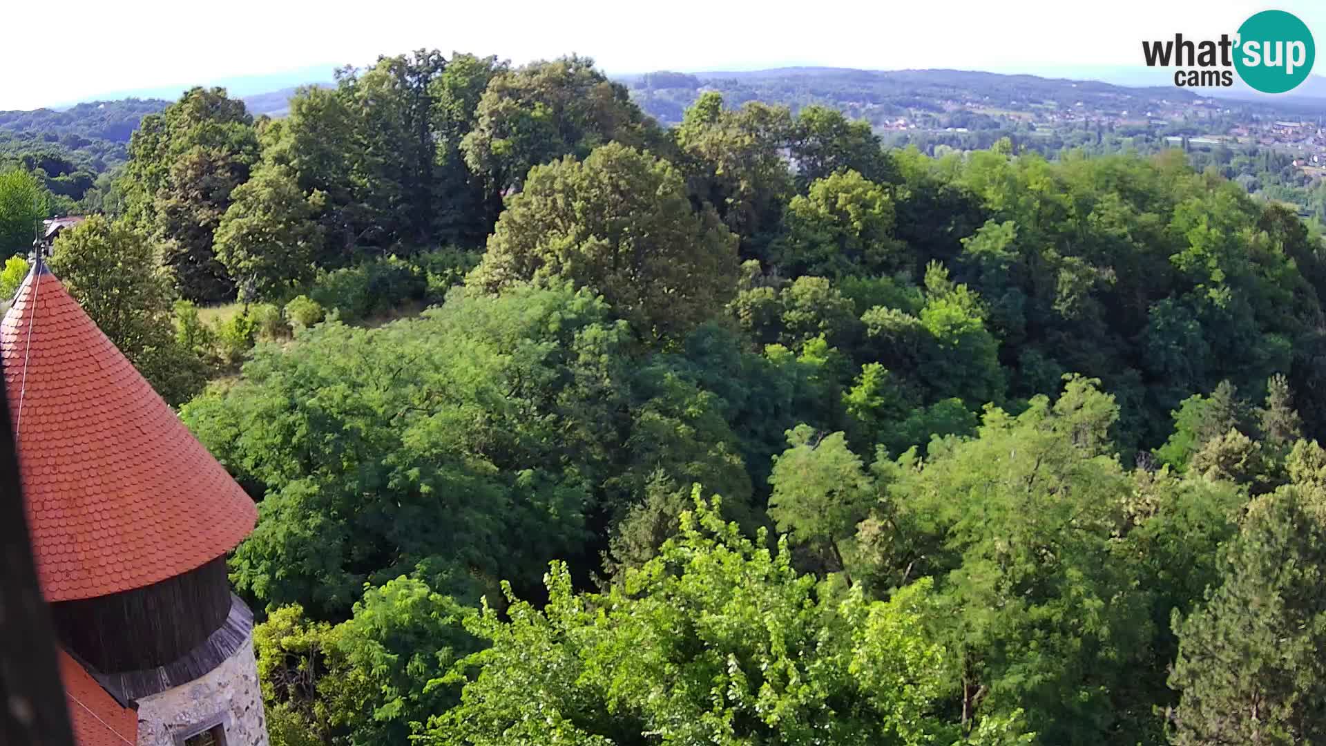 Webcam Castello Dubovac Karlovac – Vista Live sul Castello Storico