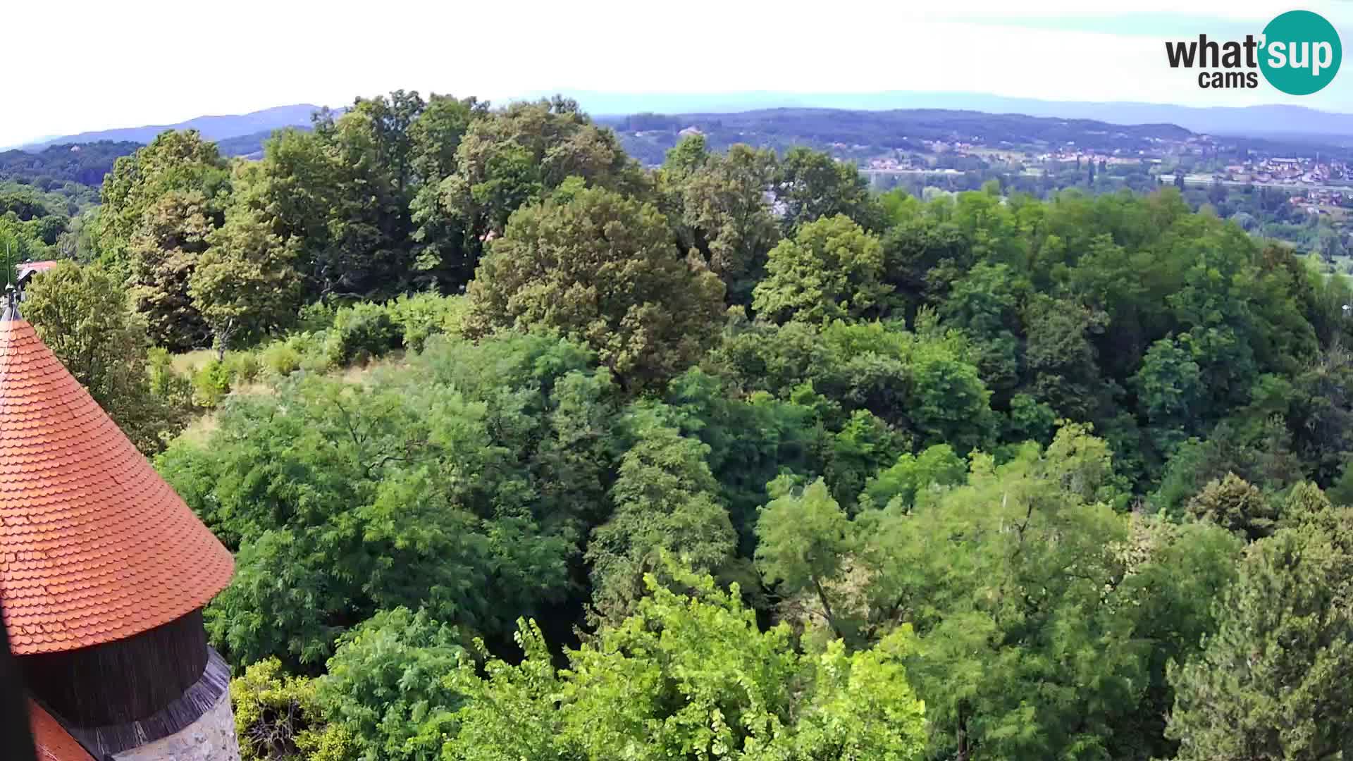 Webcam Karlovac Dubovac Castle – Live View of Karlovac’s Historic Landmark