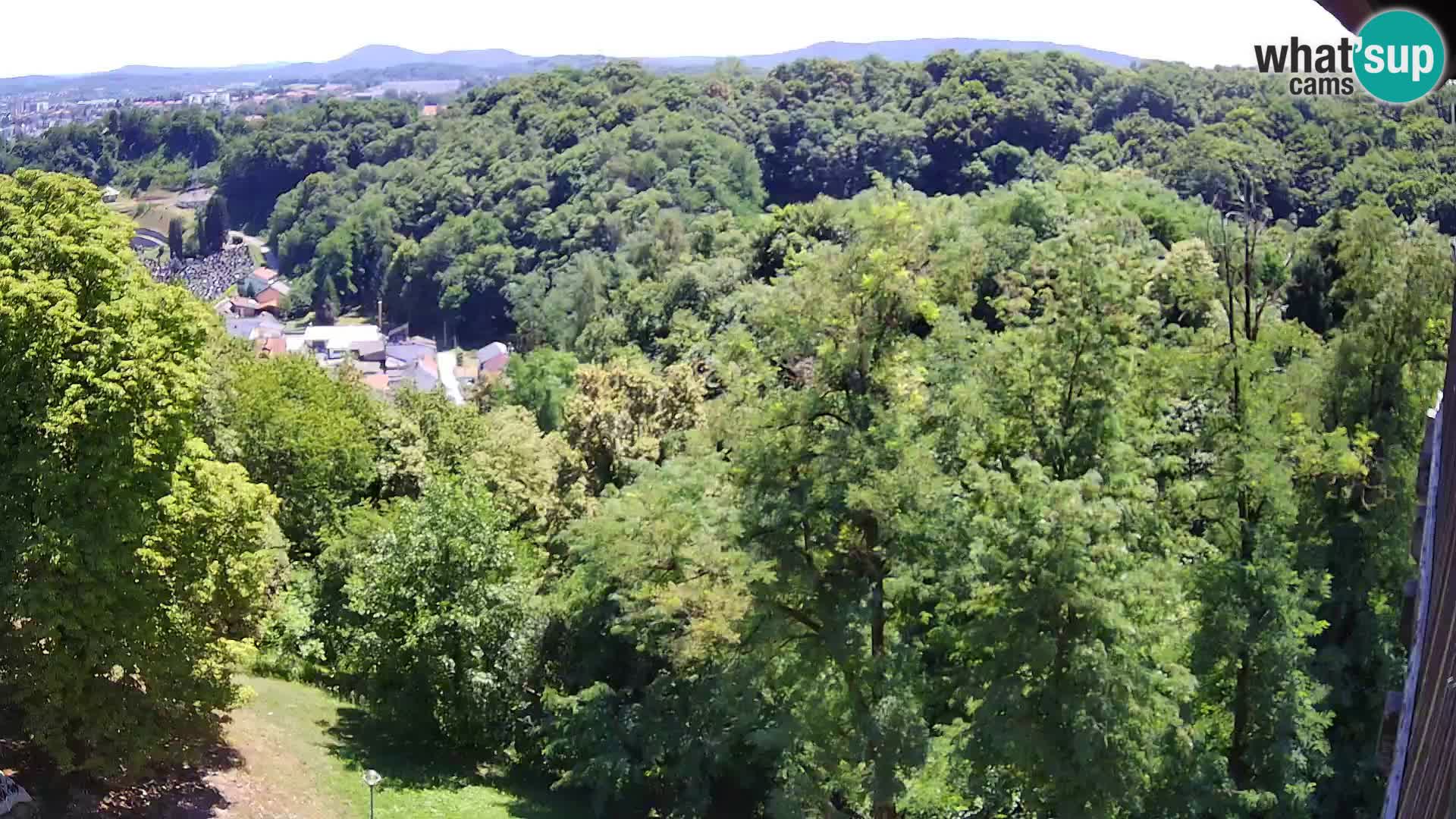 Web kamera Karlovac – Dvorac Dubovac uživo