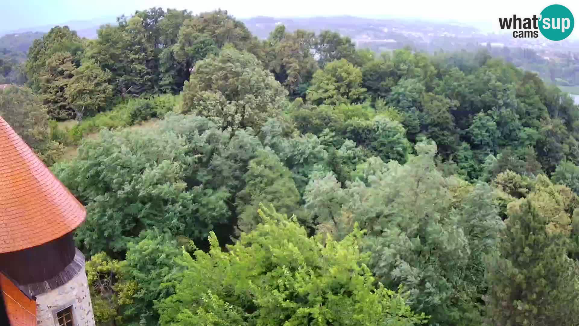 Web kamera Karlovac – Dvorac Dubovac uživo