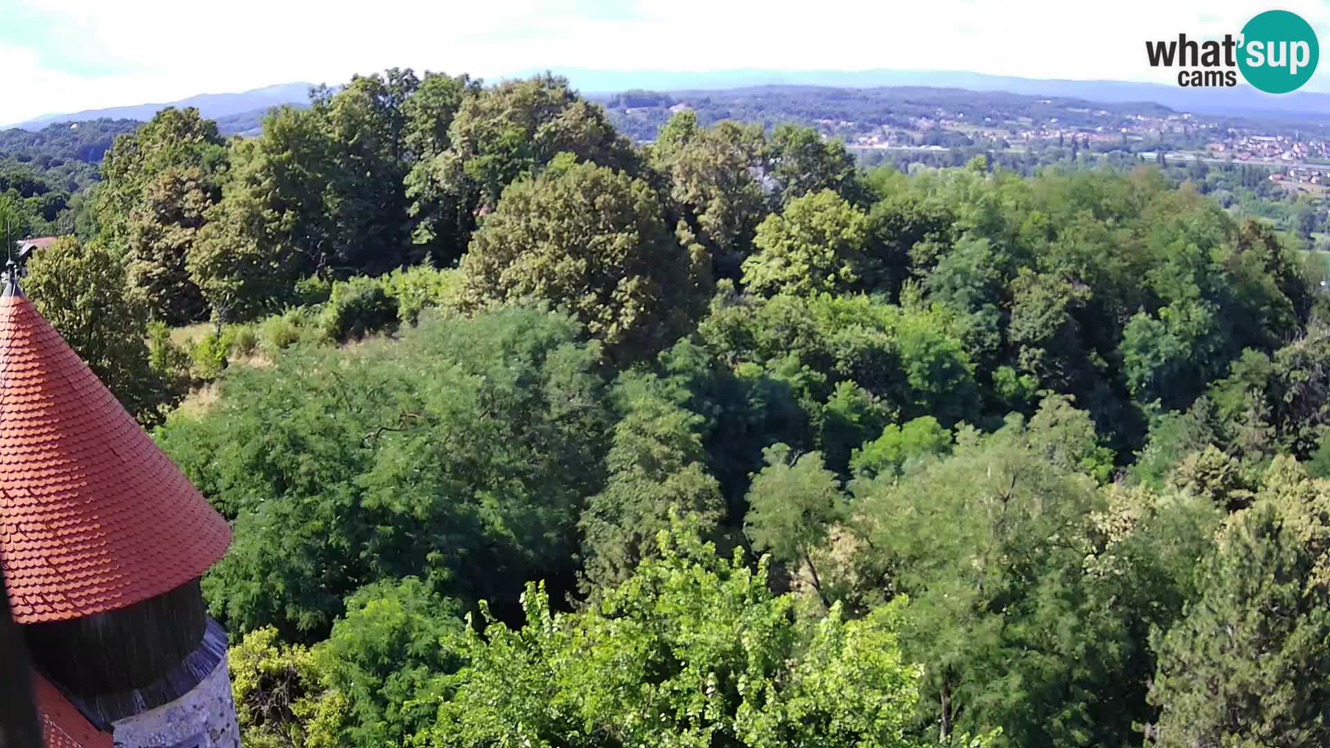 Webcam Karlovac Château Dubovac – Vue en direct de ce monument historique